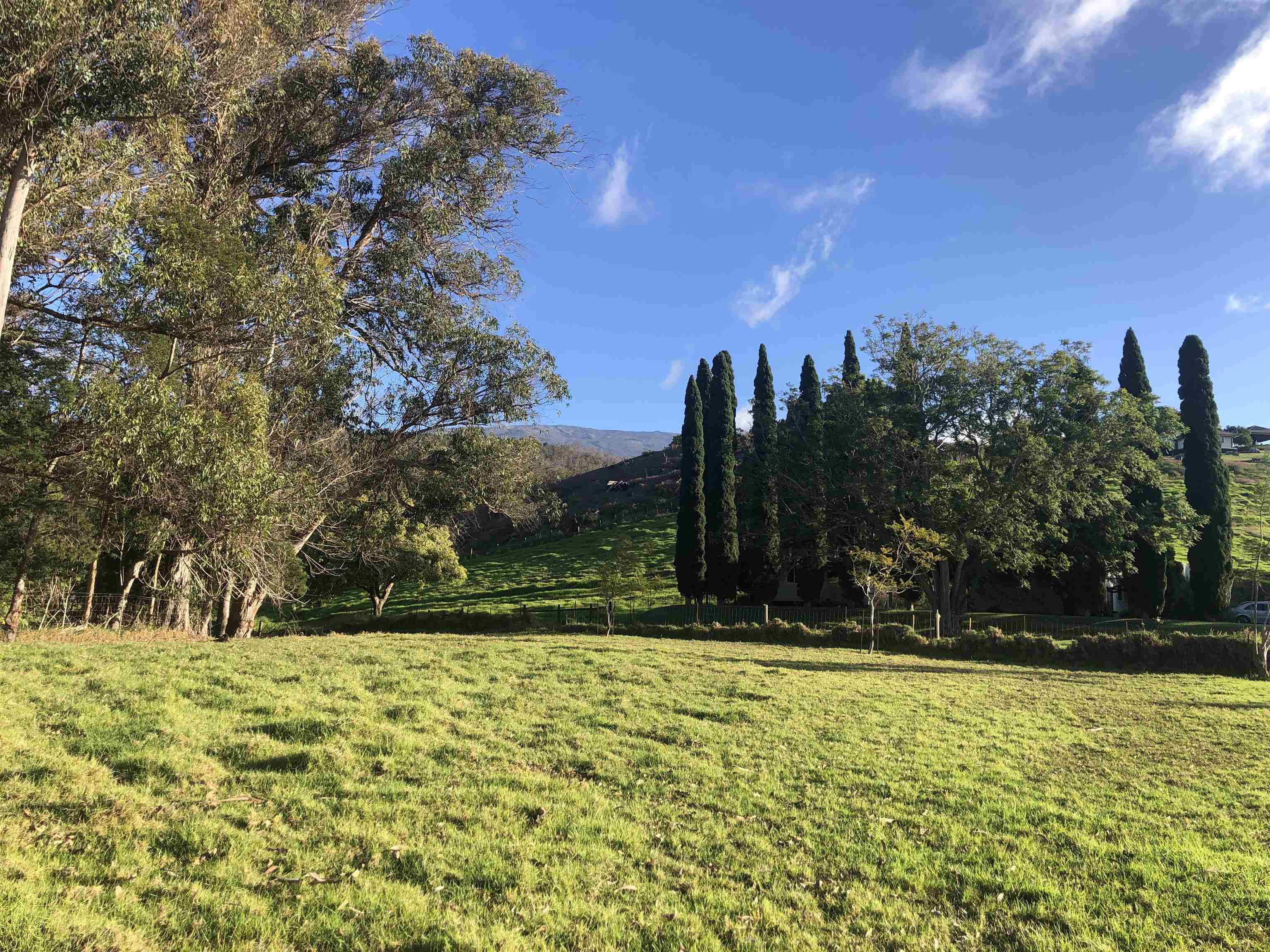 0 Makanoe Pl  Makawao, Hi vacant land for sale - photo 17 of 32