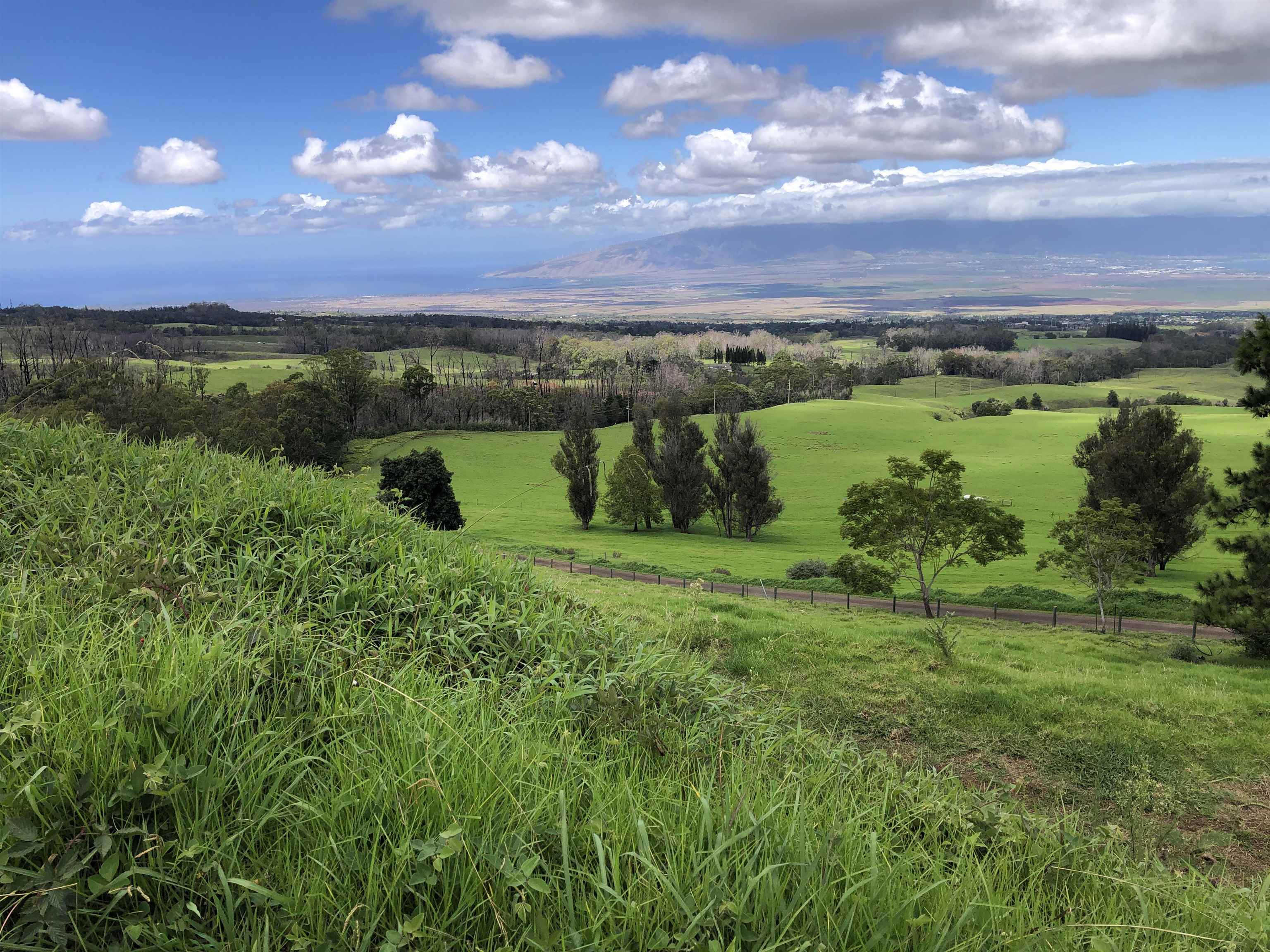 0 Makanoe Pl  Makawao, Hi vacant land for sale - photo 21 of 32