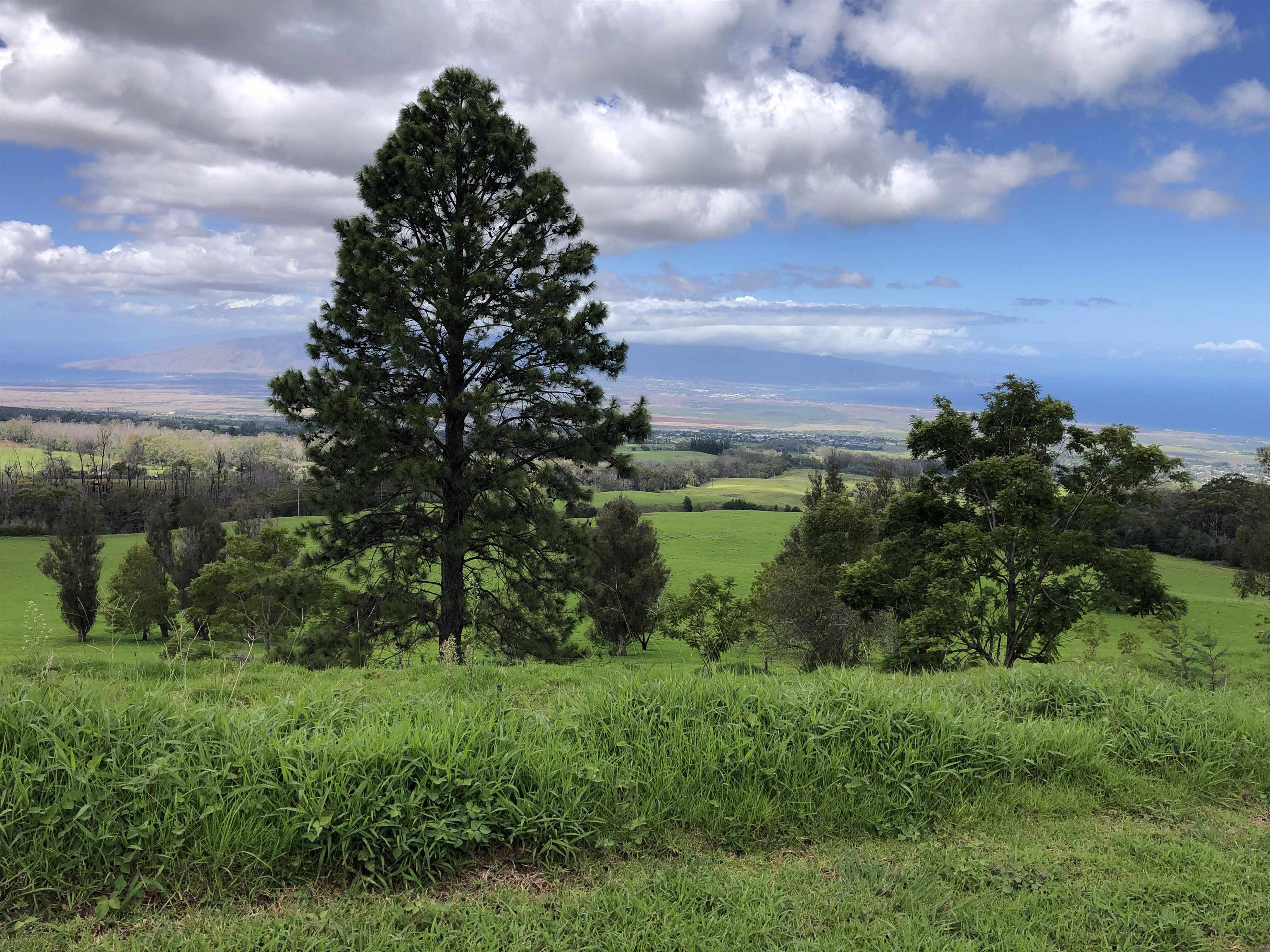 0 Makanoe Pl  Makawao, Hi vacant land for sale - photo 25 of 32