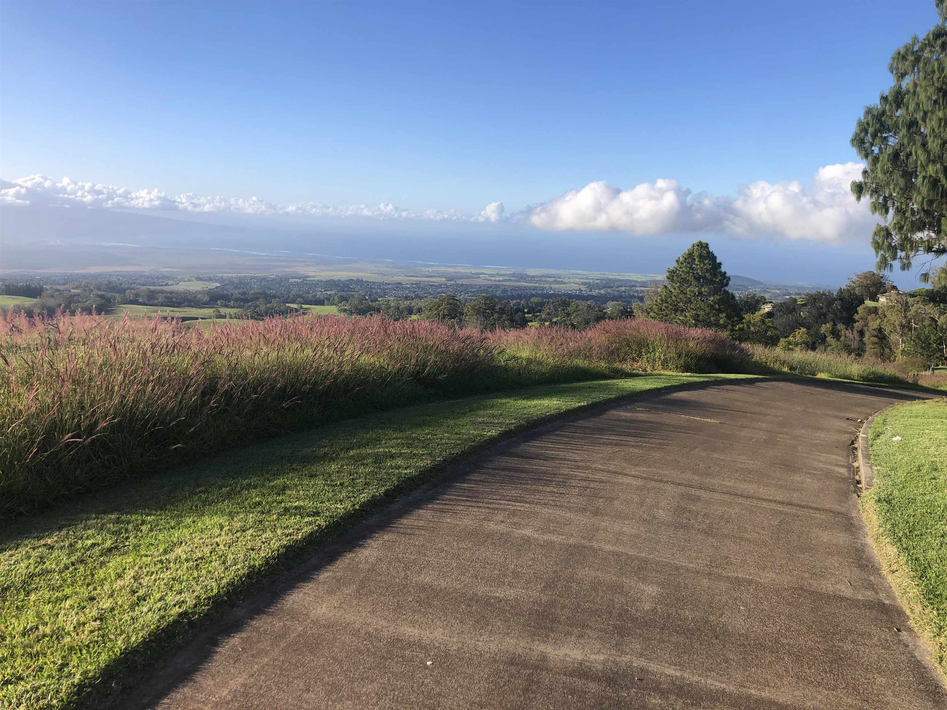 0 Makanoe Pl  Makawao, Hi vacant land for sale - photo 29 of 32