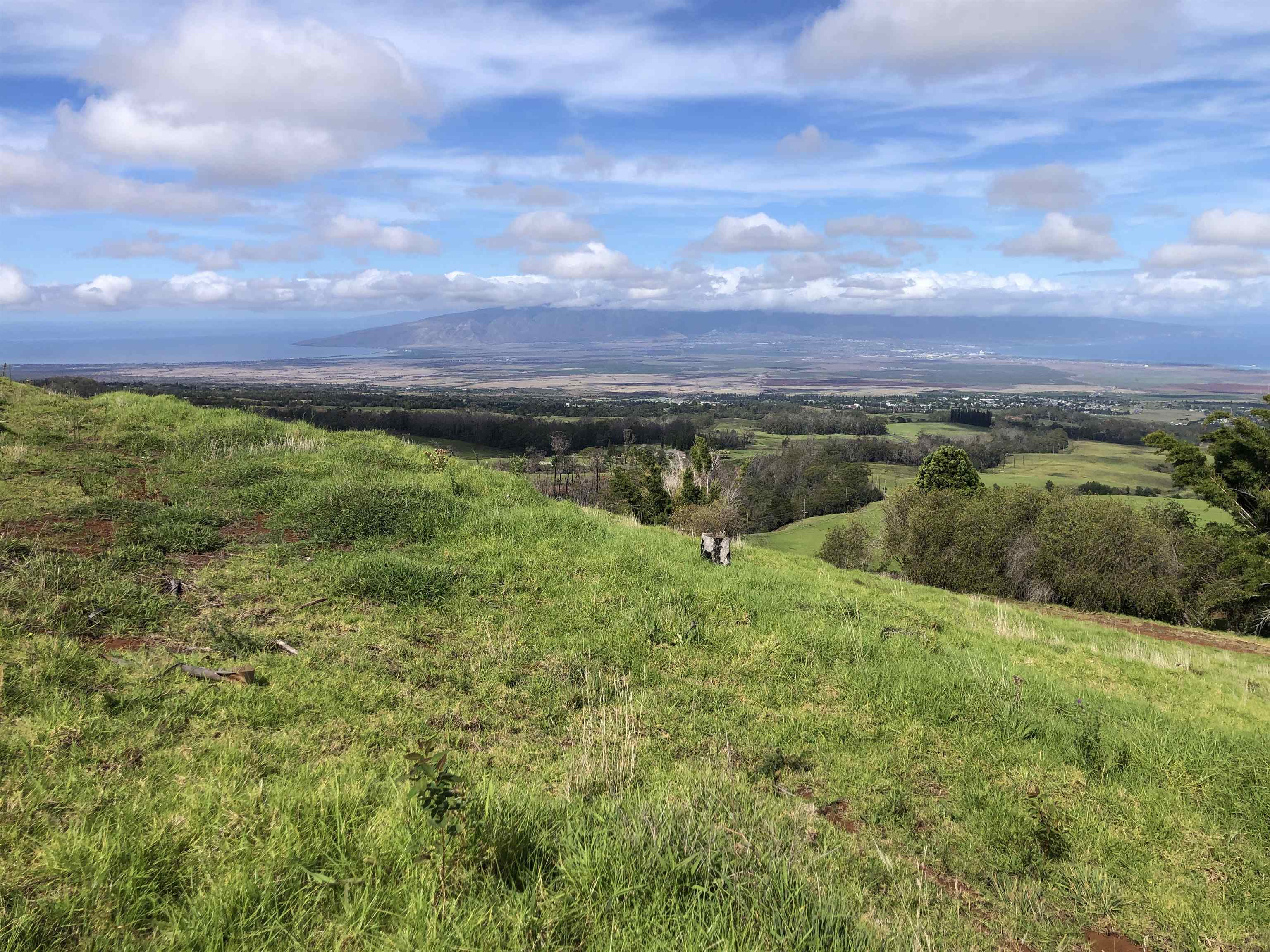 0 Makanoe Pl  Makawao, Hi vacant land for sale - photo 30 of 32