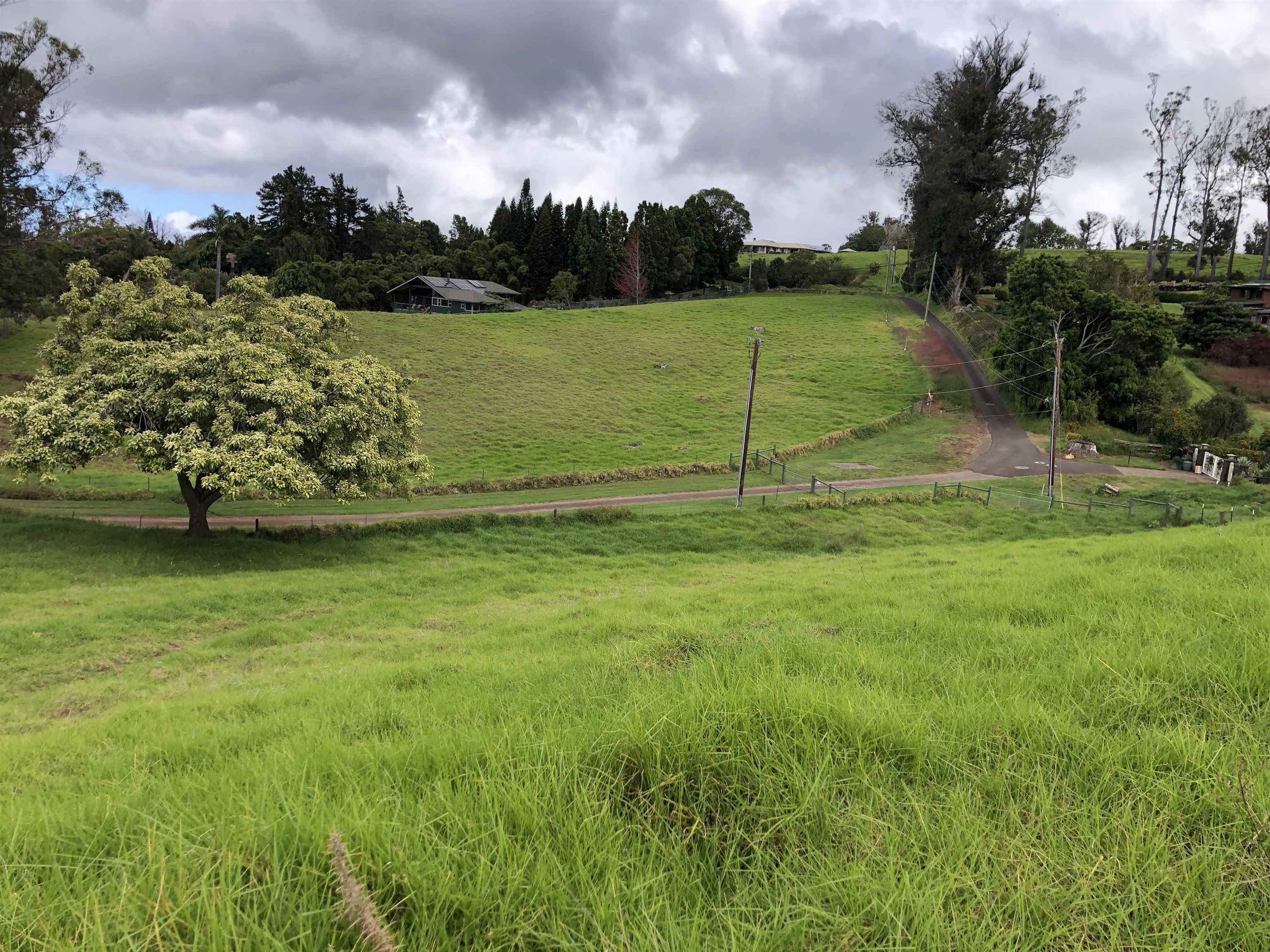 0 Makanoe Pl  Makawao, Hi vacant land for sale - photo 31 of 32