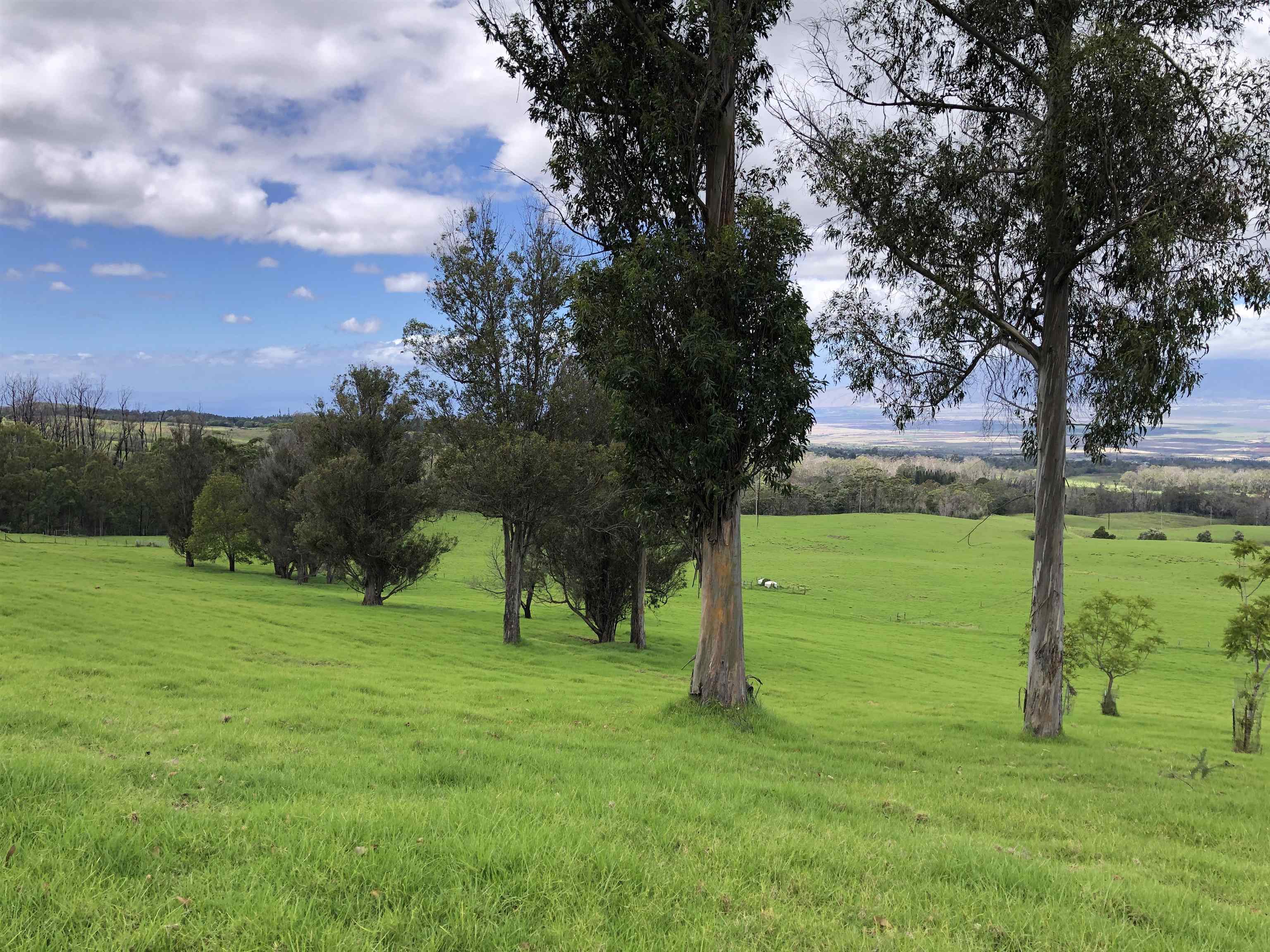 0 Makanoe Pl  Makawao, Hi vacant land for sale - photo 5 of 32