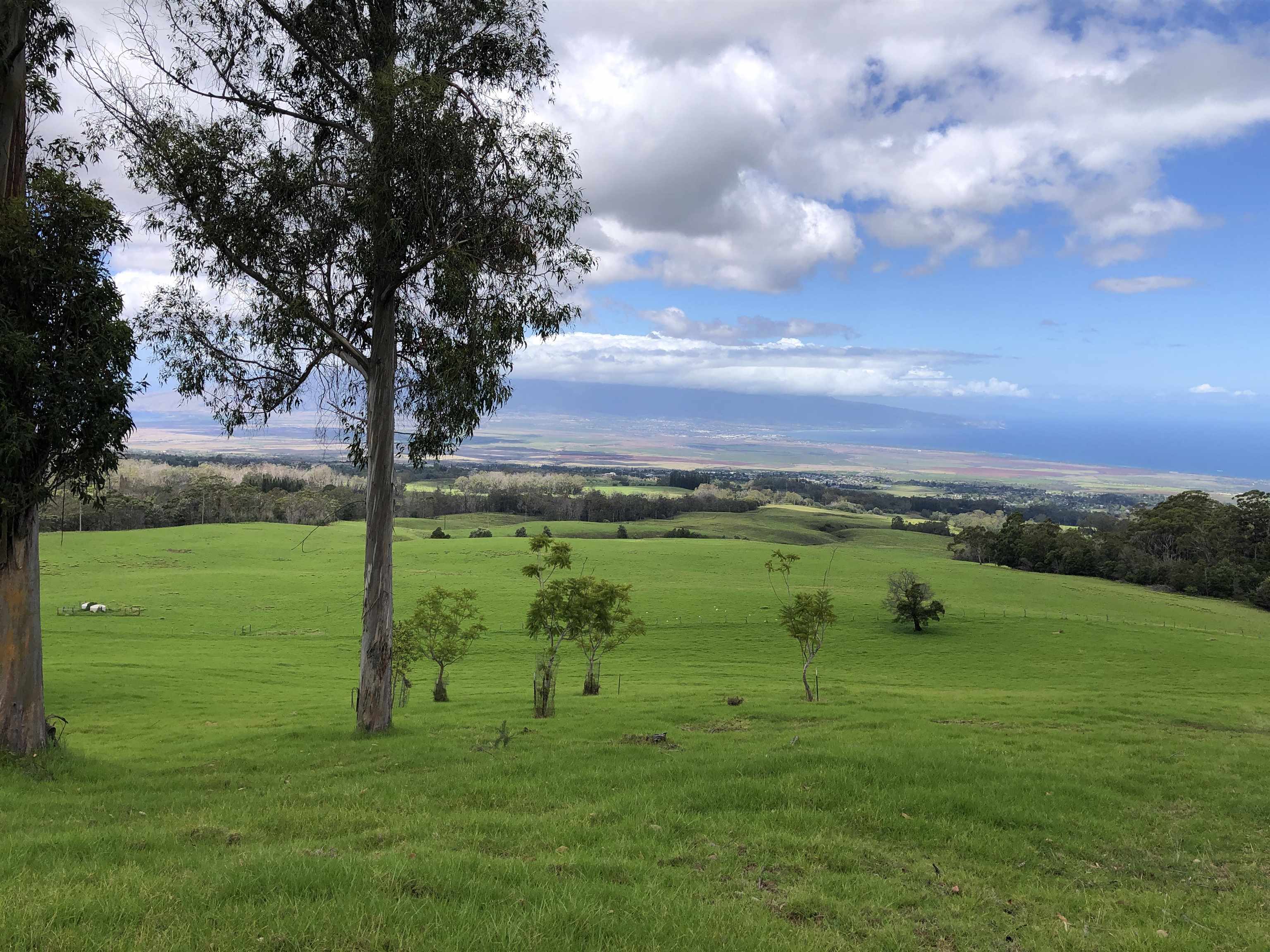 0 Makanoe Pl  Makawao, Hi vacant land for sale - photo 6 of 32