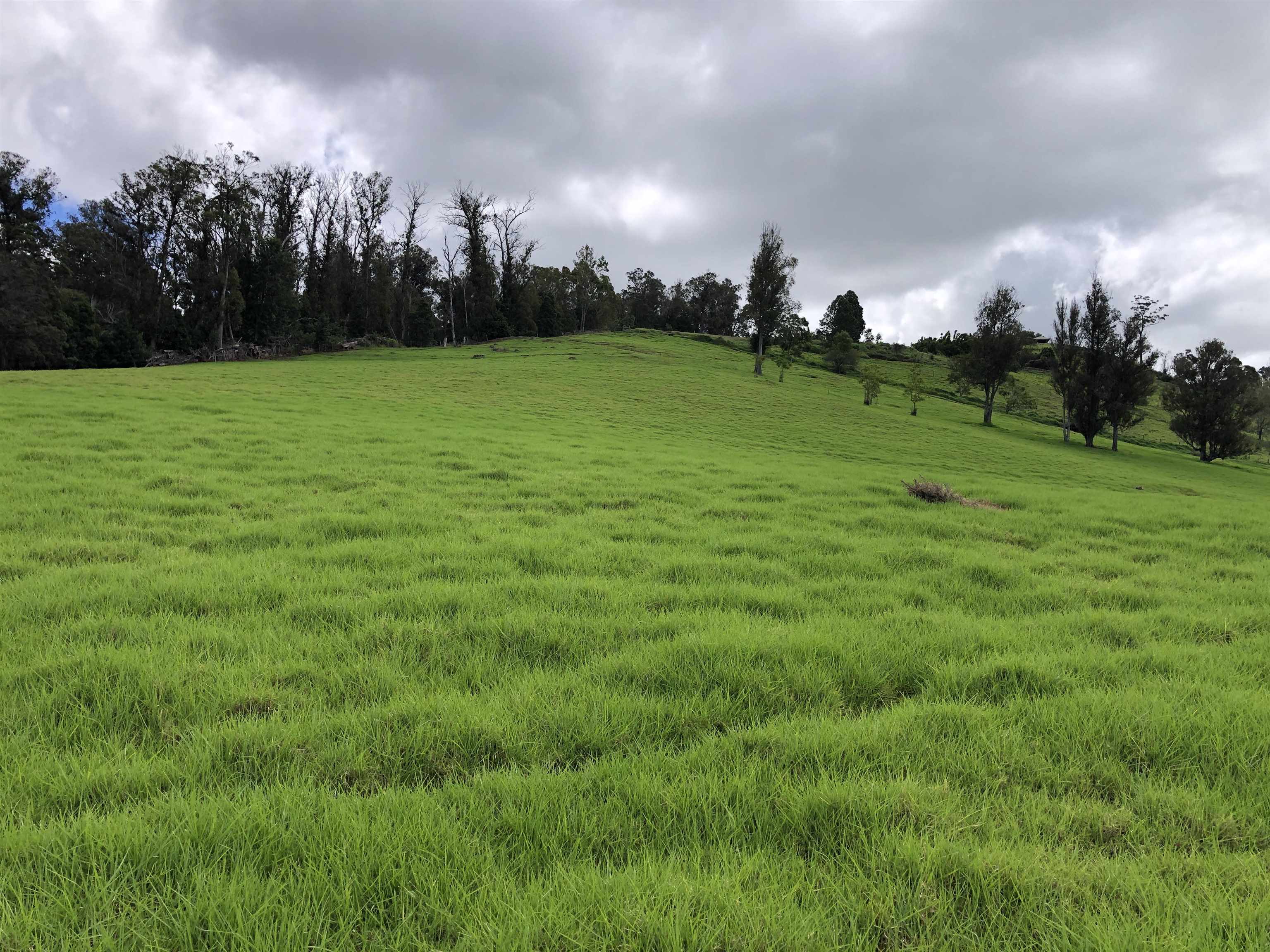 0 Makanoe Pl  Makawao, Hi vacant land for sale - photo 8 of 32