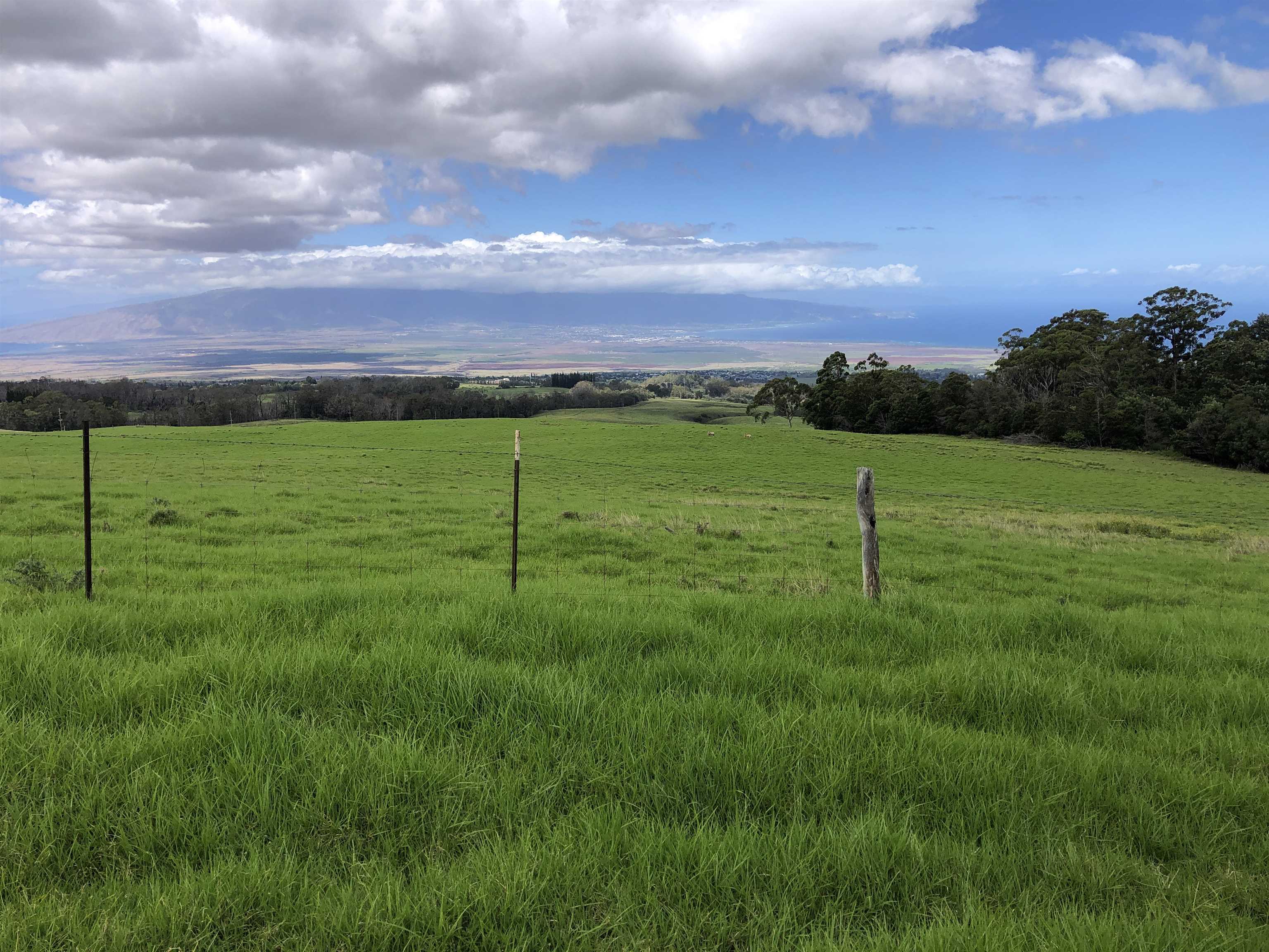 0 Makanoe Pl  Makawao, Hi vacant land for sale - photo 9 of 32