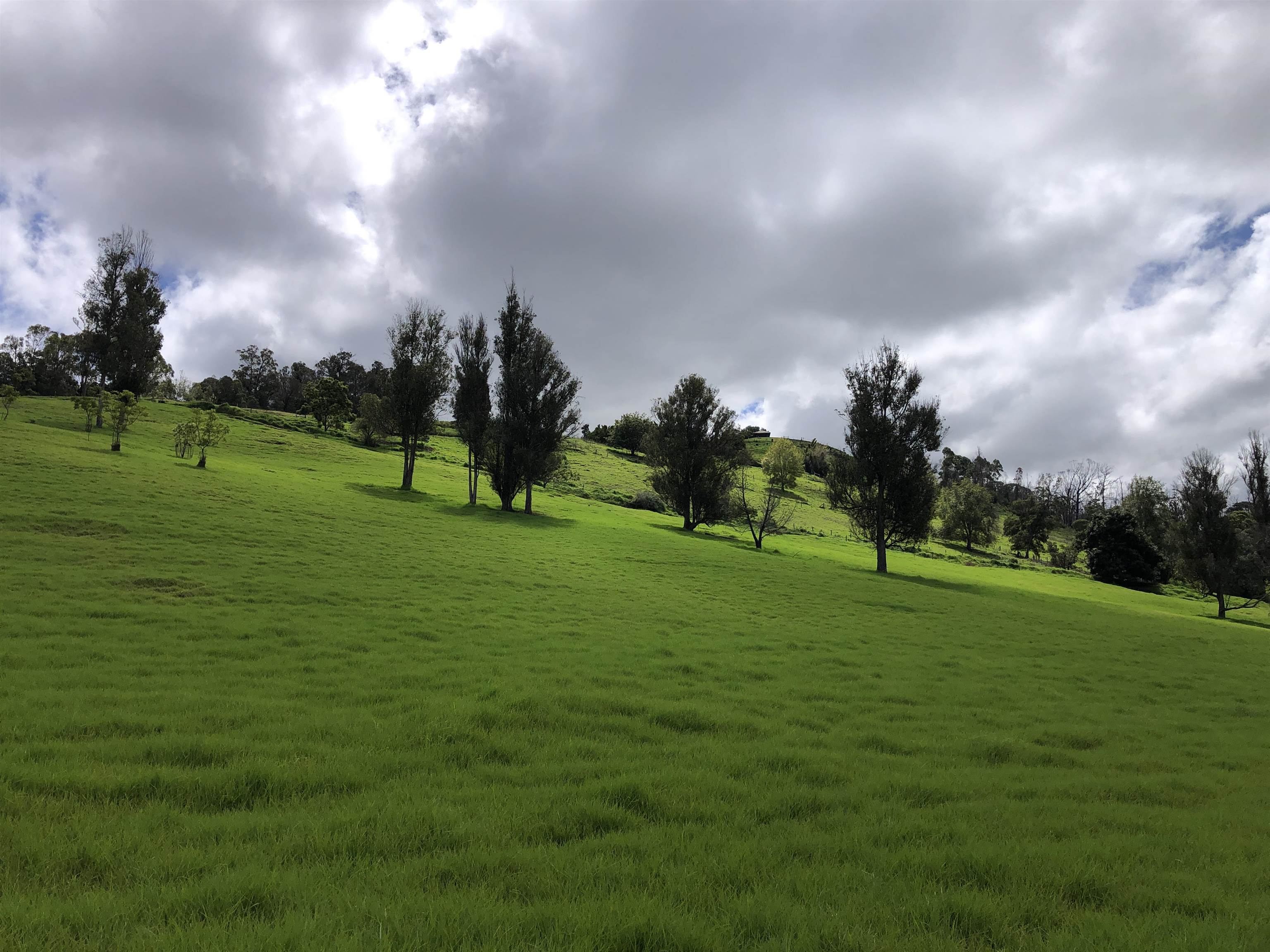 0 Makanoe Pl  Makawao, Hi vacant land for sale - photo 10 of 32