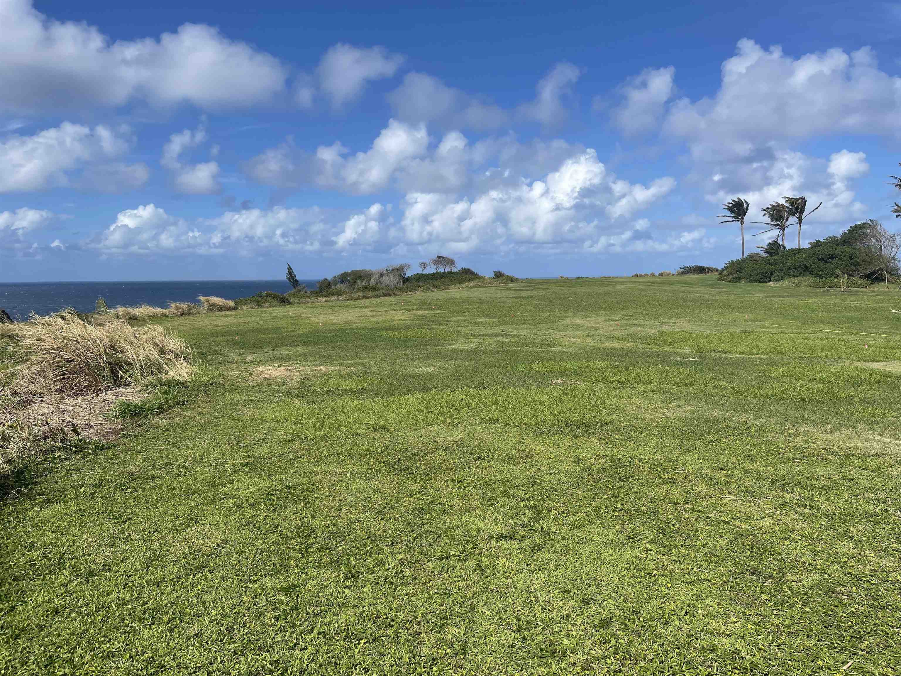 Manawai Pl  Haiku, Hi vacant land for sale - photo 3 of 9