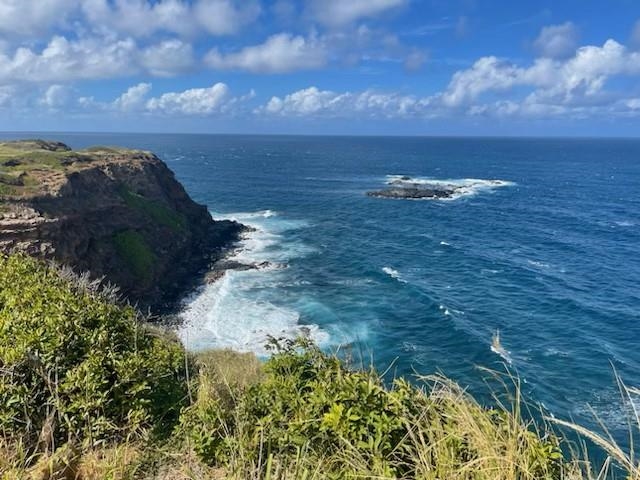 Manawai Pl  Haiku, Hi vacant land for sale - photo 6 of 9