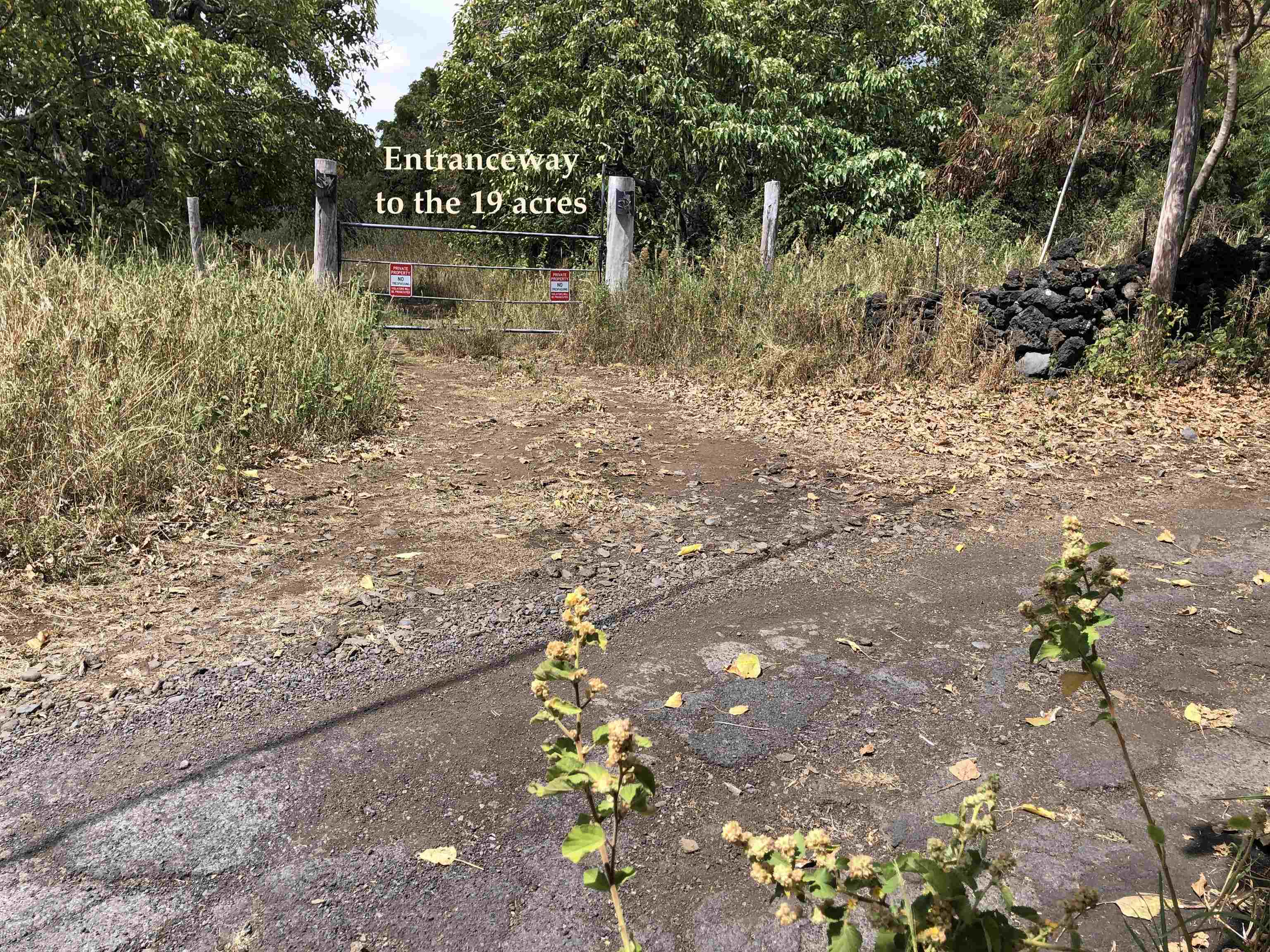 0 Maua Rd  Hana, Hi vacant land for sale - photo 21 of 31