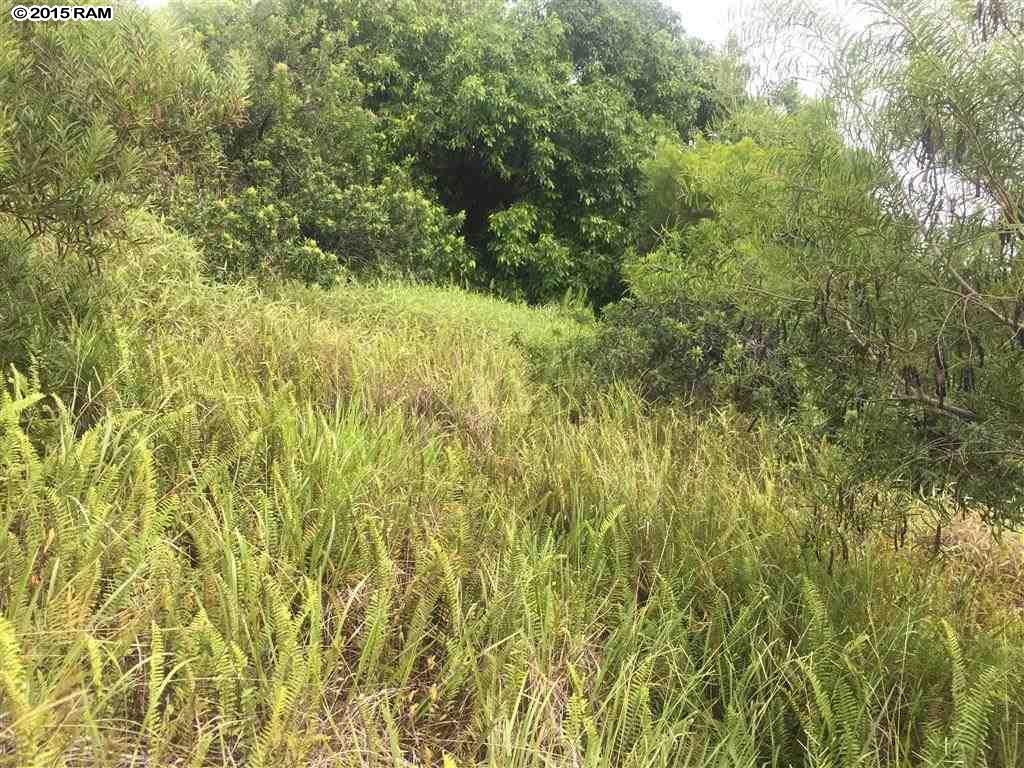 0 Mehana Rd Lot 2 Haiku-Pauwela, Hi vacant land for sale - photo 5 of 7