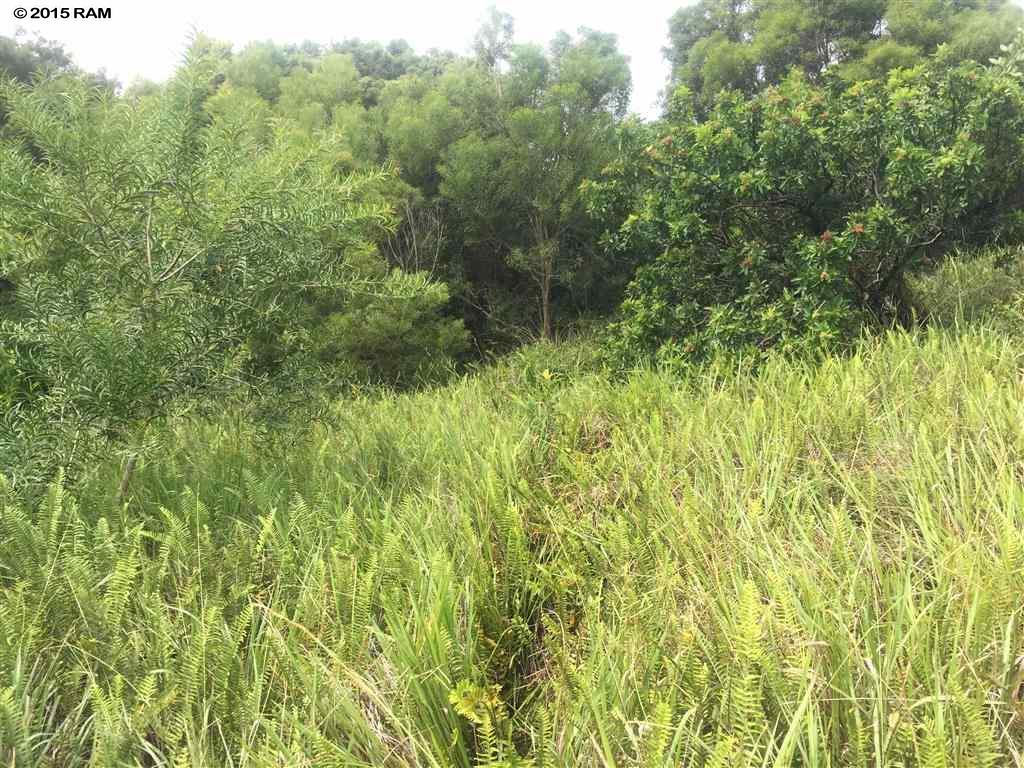 0 Mehana Rd Lot 2 Haiku-Pauwela, Hi vacant land for sale - photo 6 of 7