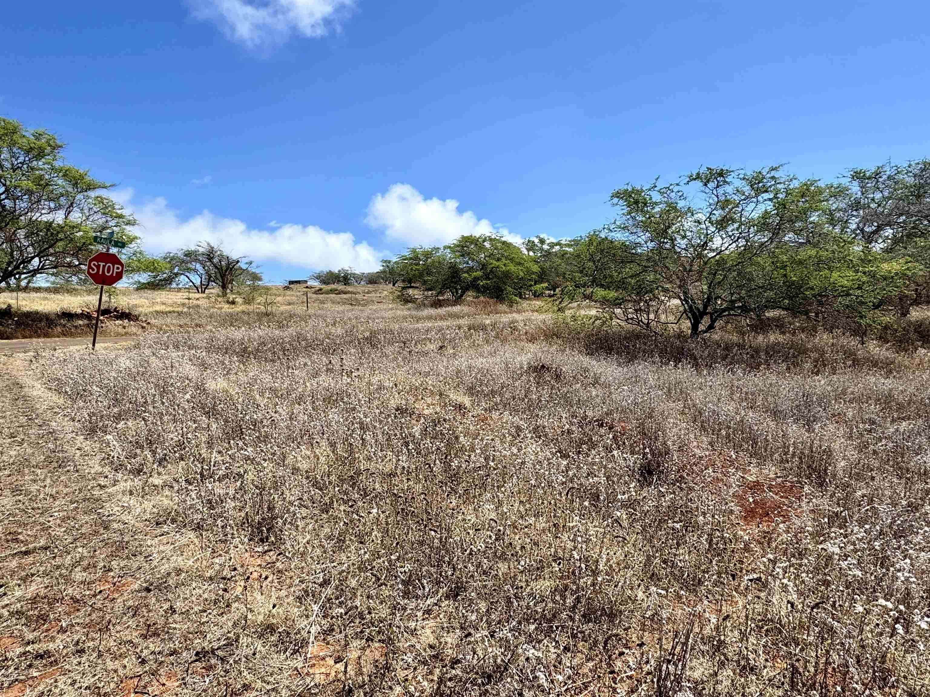 Noho Lio Rd 197 Maunaloa, Hi vacant land for sale - photo 12 of 19