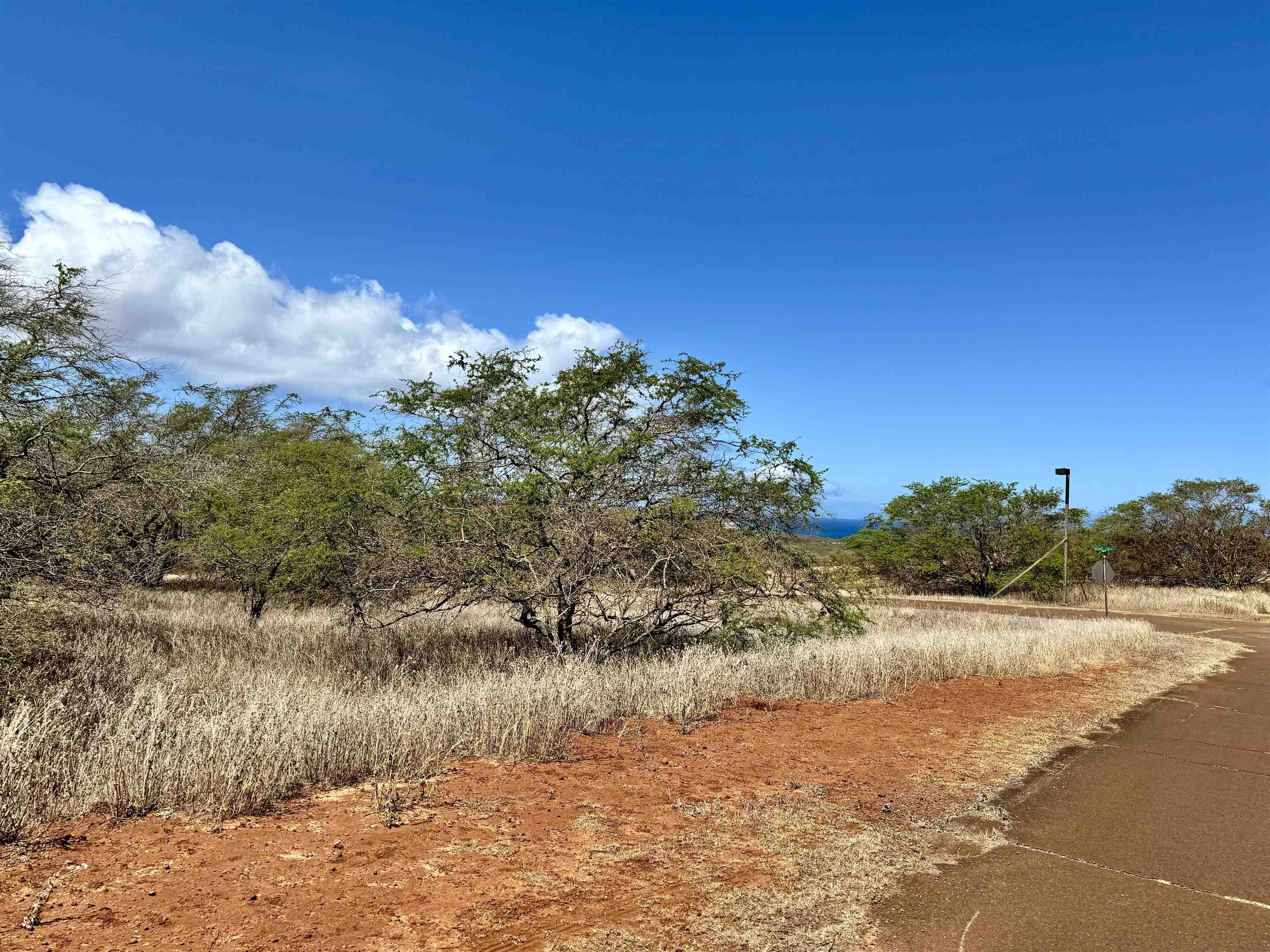 Noho Lio Rd 197 Maunaloa, Hi vacant land for sale - photo 13 of 19