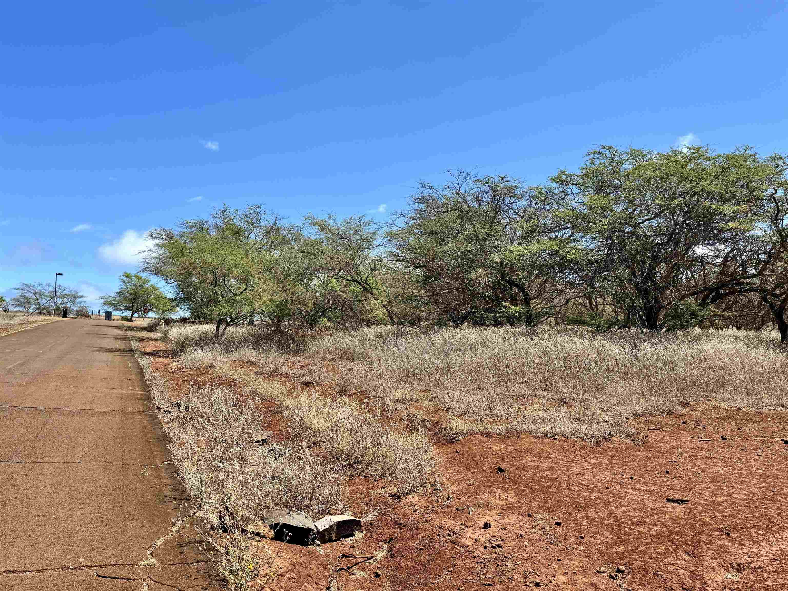 Noho Lio Rd 197 Maunaloa, Hi vacant land for sale - photo 14 of 19