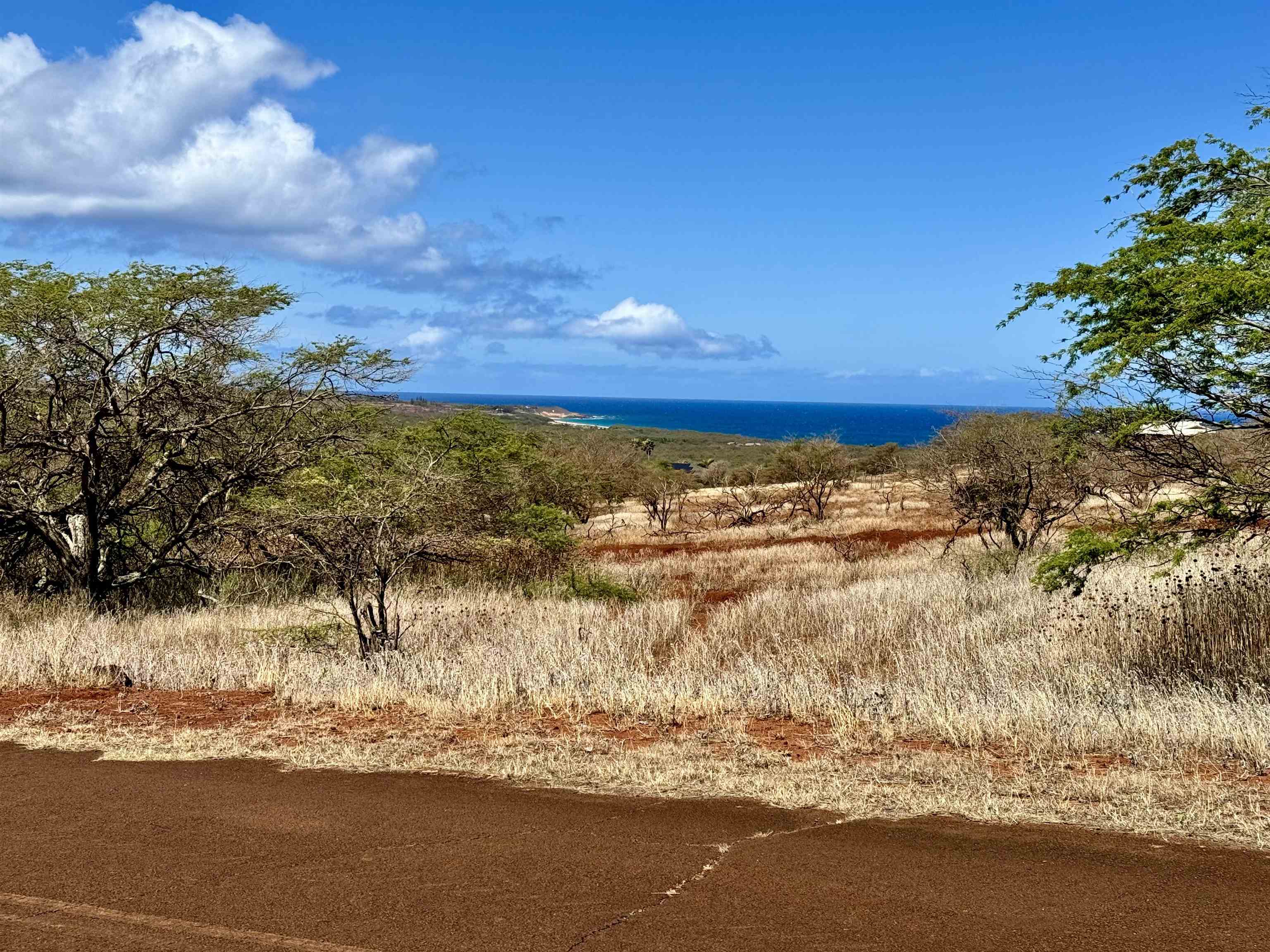 Noho Lio Rd 197 Maunaloa, Hi vacant land for sale - photo 15 of 19