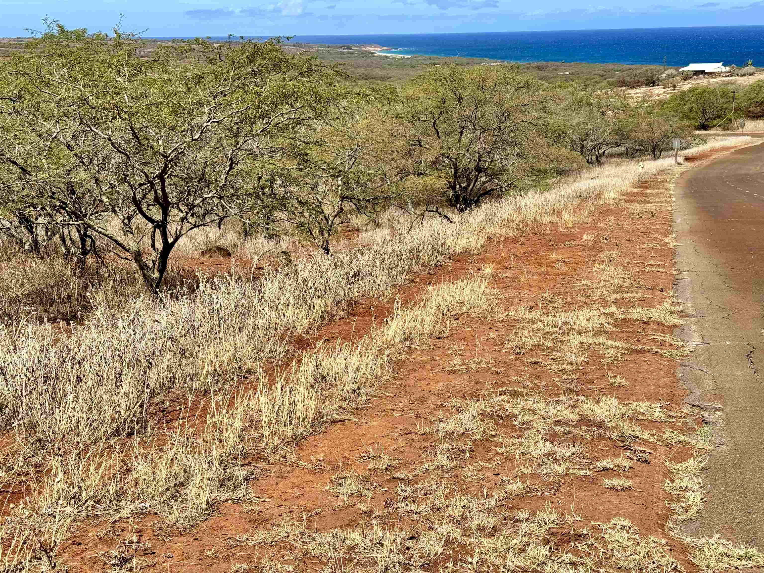 Noho Lio Rd 197 Maunaloa, Hi vacant land for sale - photo 16 of 19