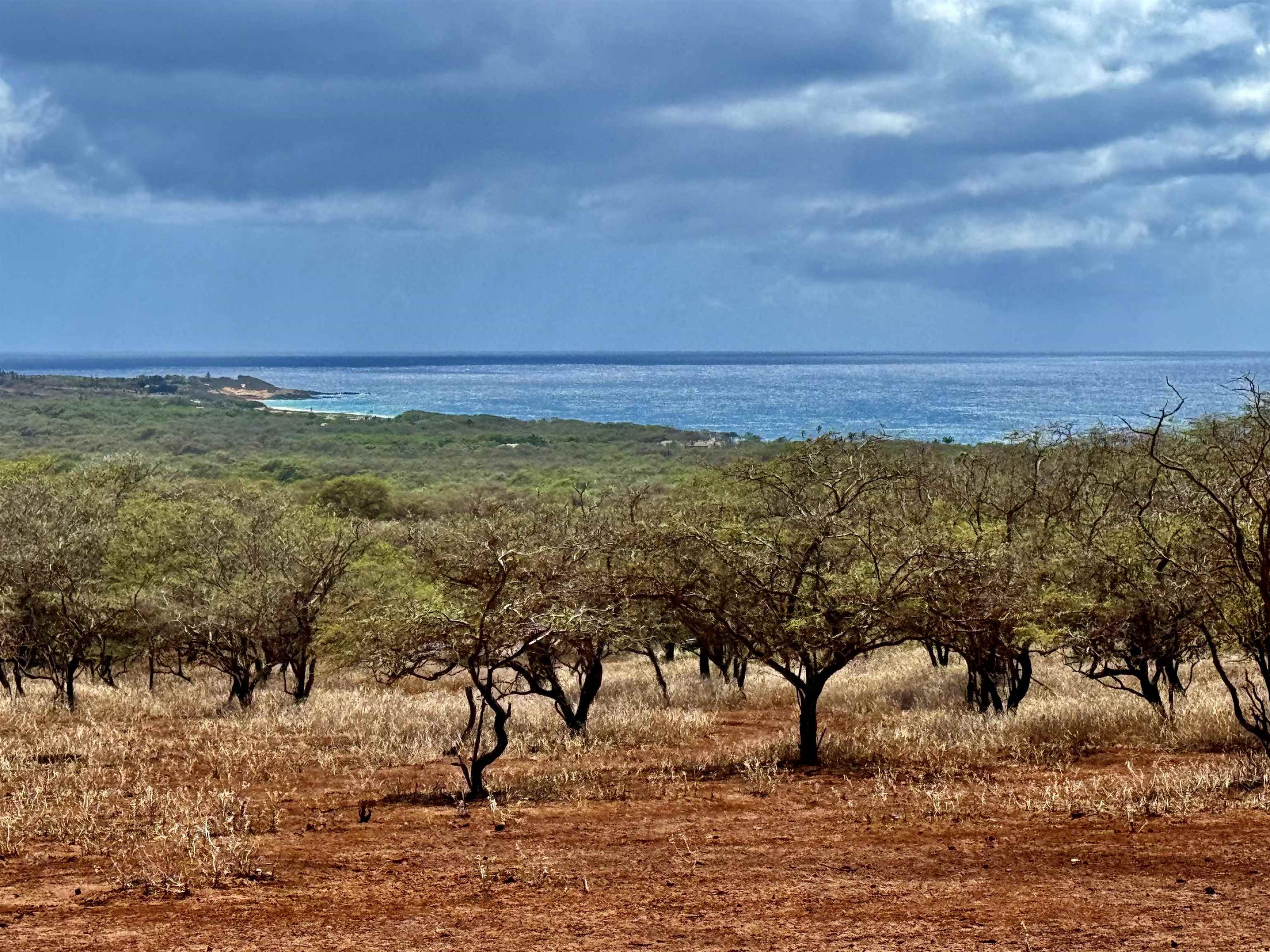 Noho Lio Rd 197 Maunaloa, Hi vacant land for sale - photo 18 of 19