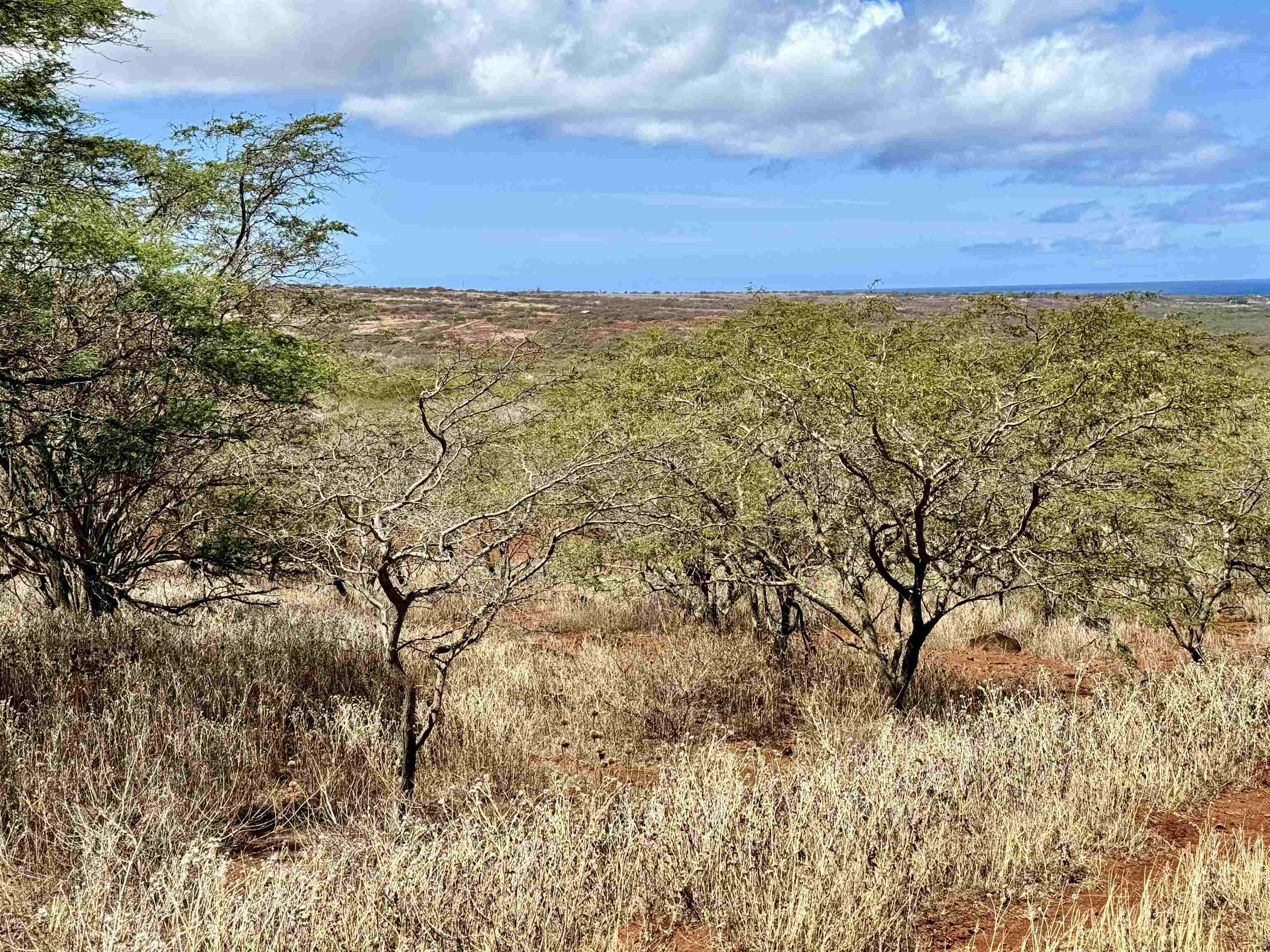 Noho Lio Rd 197 Maunaloa, Hi vacant land for sale - photo 8 of 19