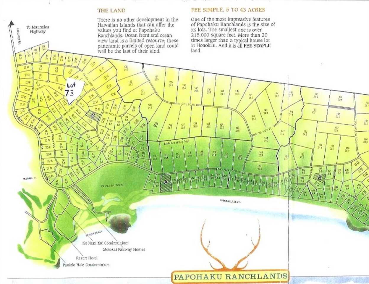 0 Noho Lio Rd Sales Map #73 Maunaloa, Hi vacant land for sale - photo 18 of 24