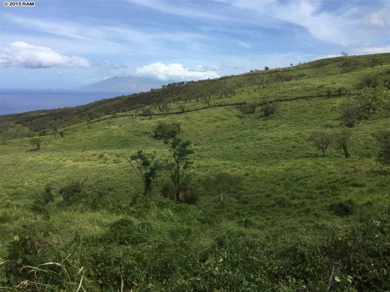 Off Kanaio-Kalama Park  Kula, Hi vacant land for sale - photo 3 of 5