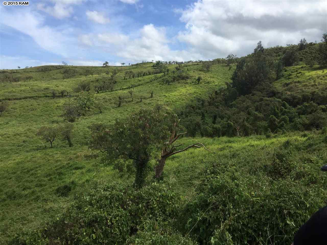 Off Kanaio-Kalama Park  Kula, Hi vacant land for sale - photo 4 of 5