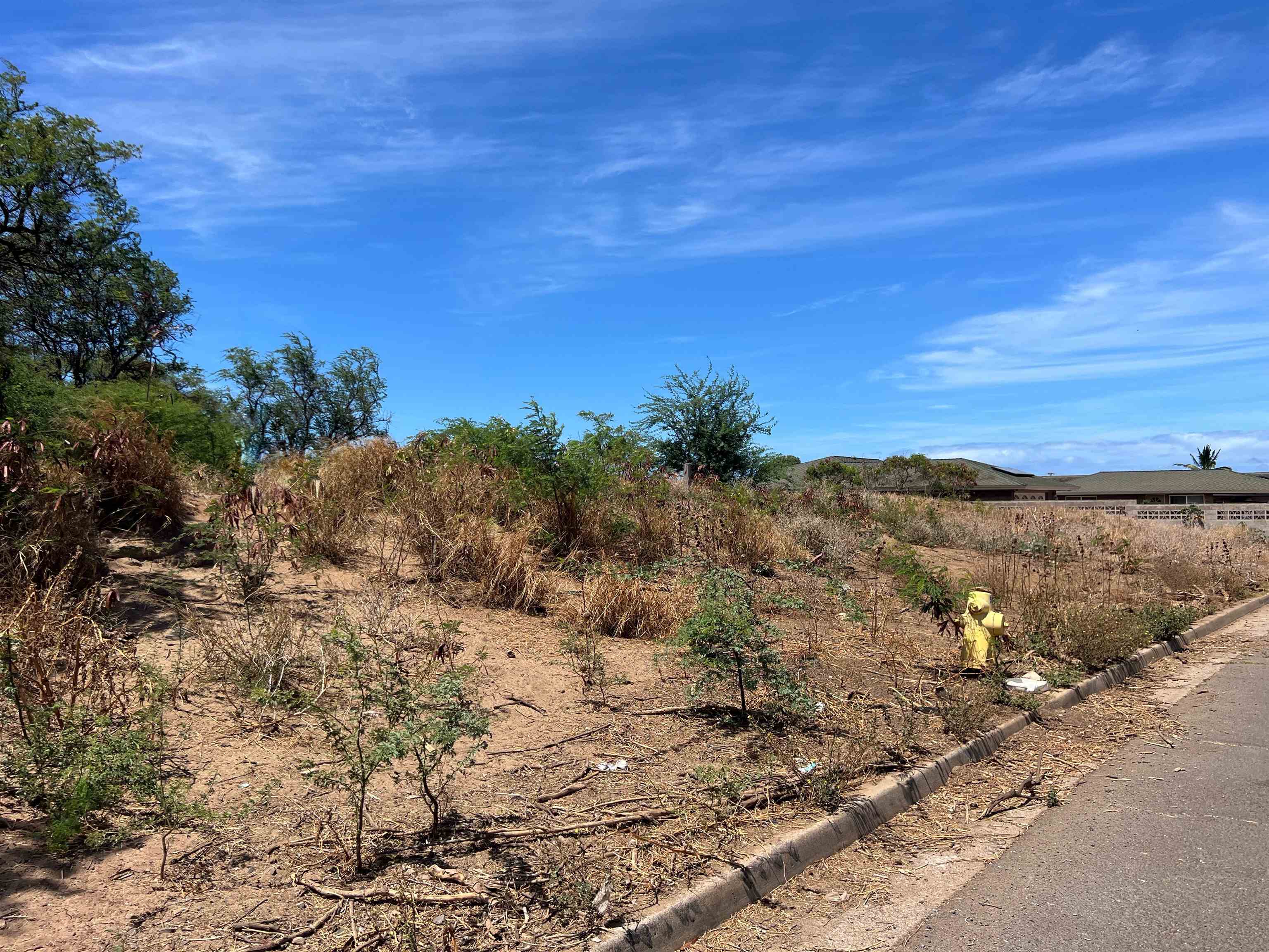 Off of Polani St  Kahului, Hi vacant land for sale - photo 2 of 5