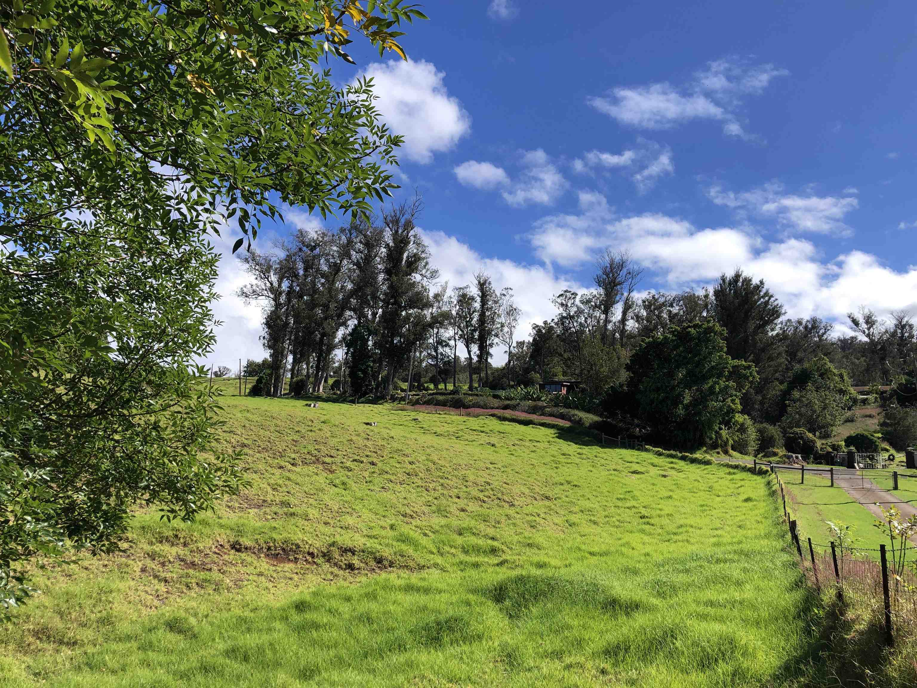 0 Olinda Rd  Makawao, Hi vacant land for sale - photo 3 of 16