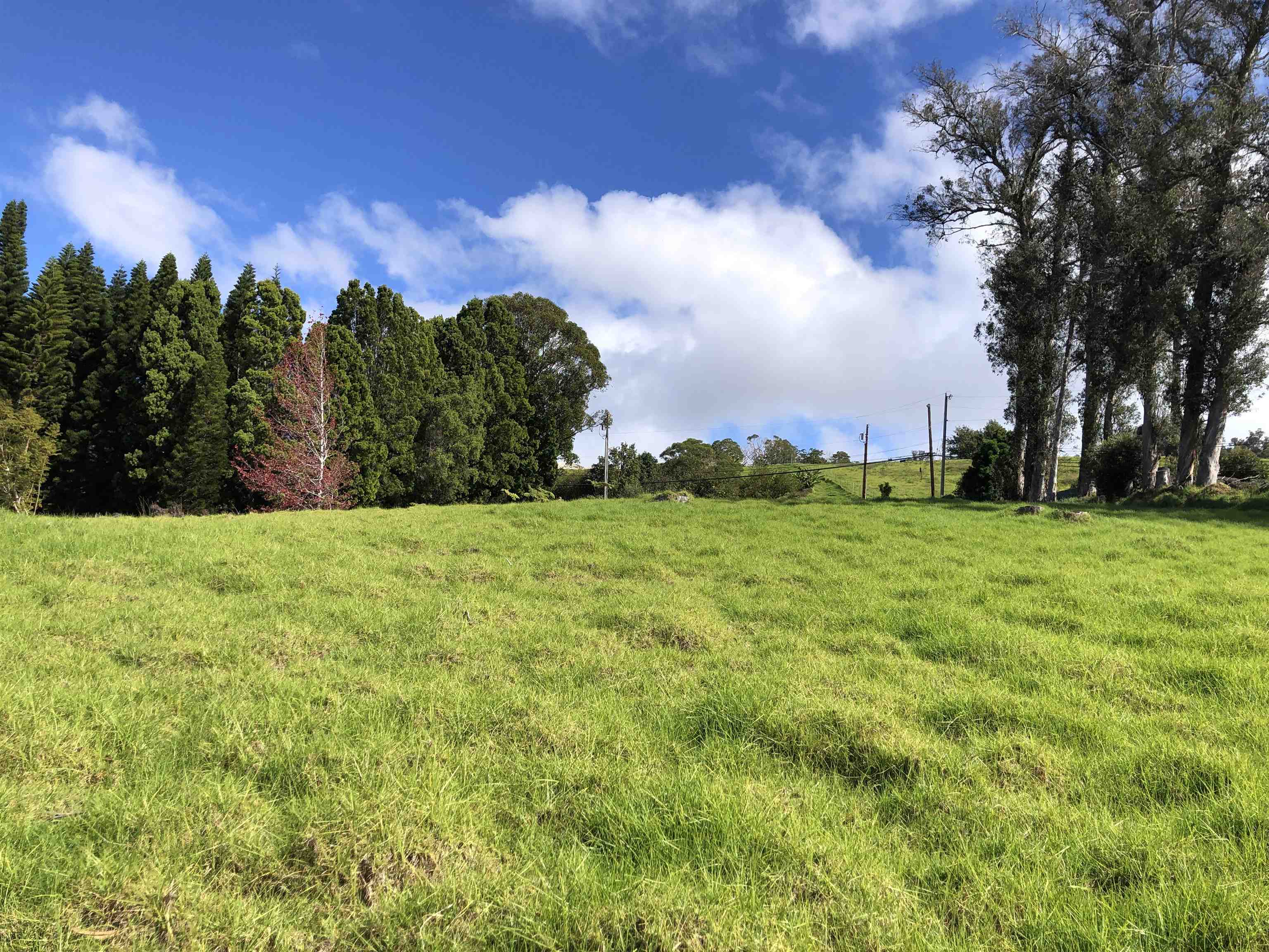 0 Olinda Rd  Makawao, Hi vacant land for sale - photo 4 of 16