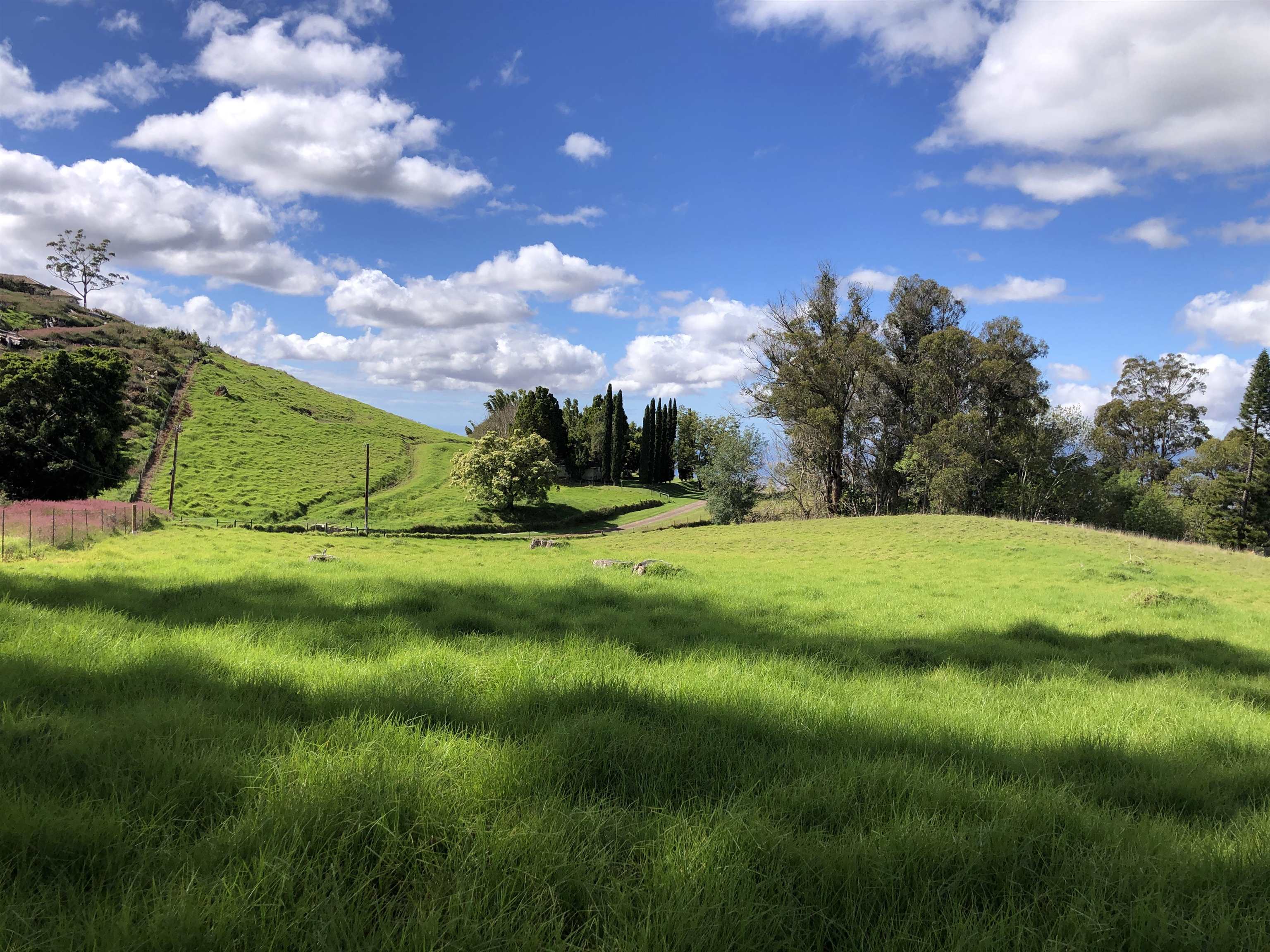 0 Olinda Rd  Makawao, Hi vacant land for sale - photo 5 of 16