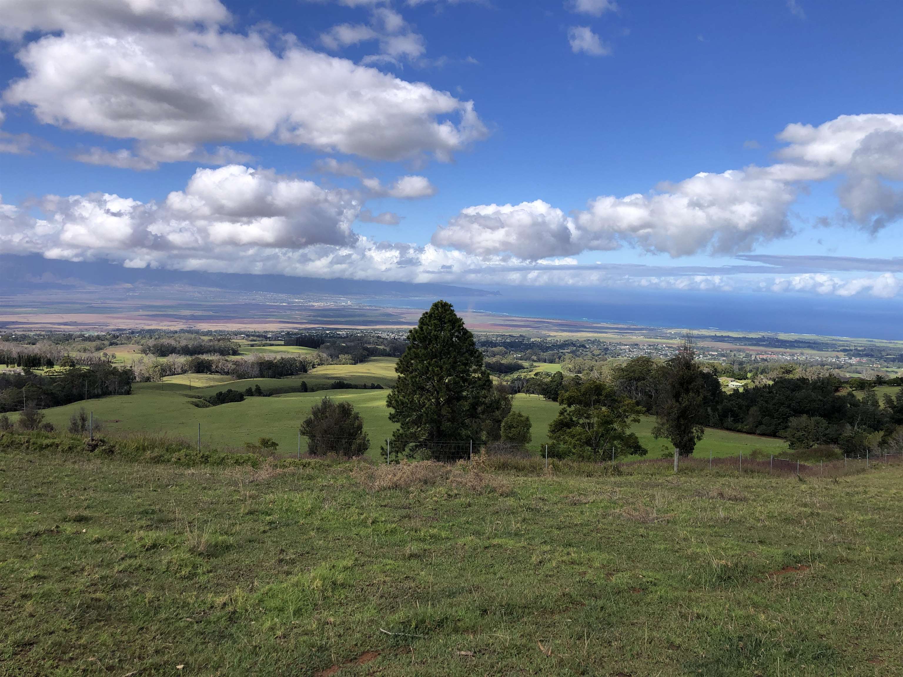 0 Olinda Rd  Makawao, Hi vacant land for sale - photo 8 of 16