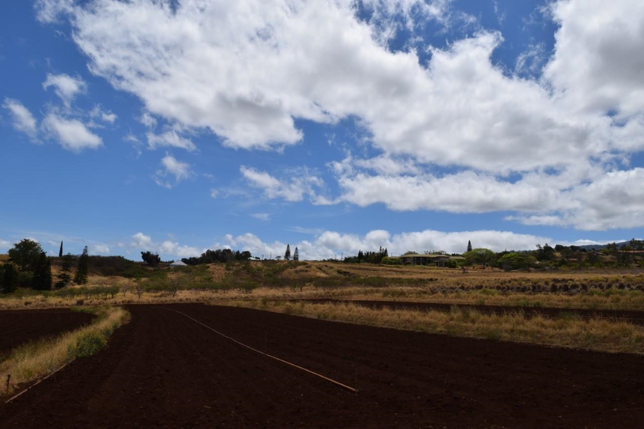 0 Omaopio Rd  Kula, Hi vacant land for sale - photo 11 of 19