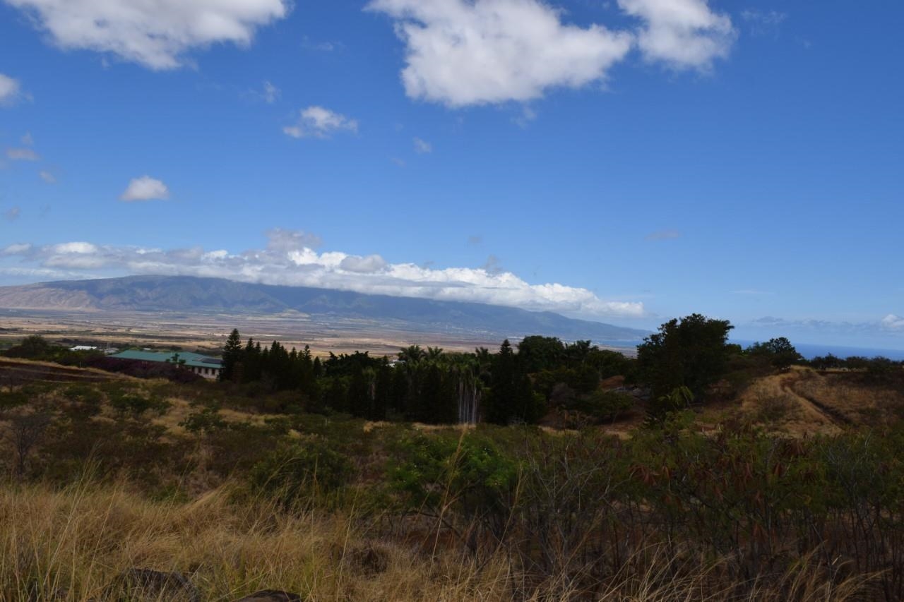 0 Omaopio Rd  Kula, Hi vacant land for sale - photo 12 of 19