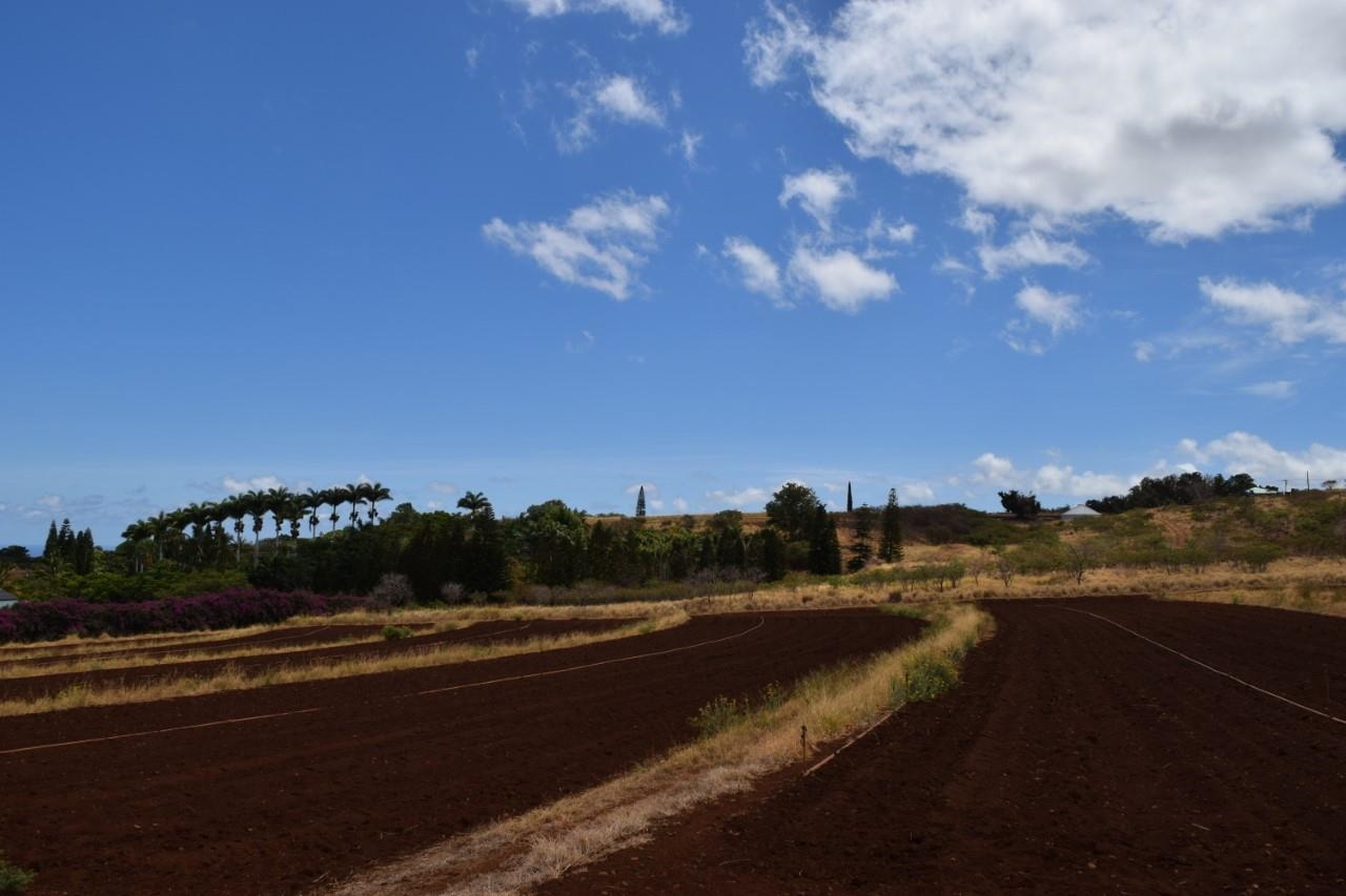 0 Omaopio Rd  Kula, Hi vacant land for sale - photo 13 of 19