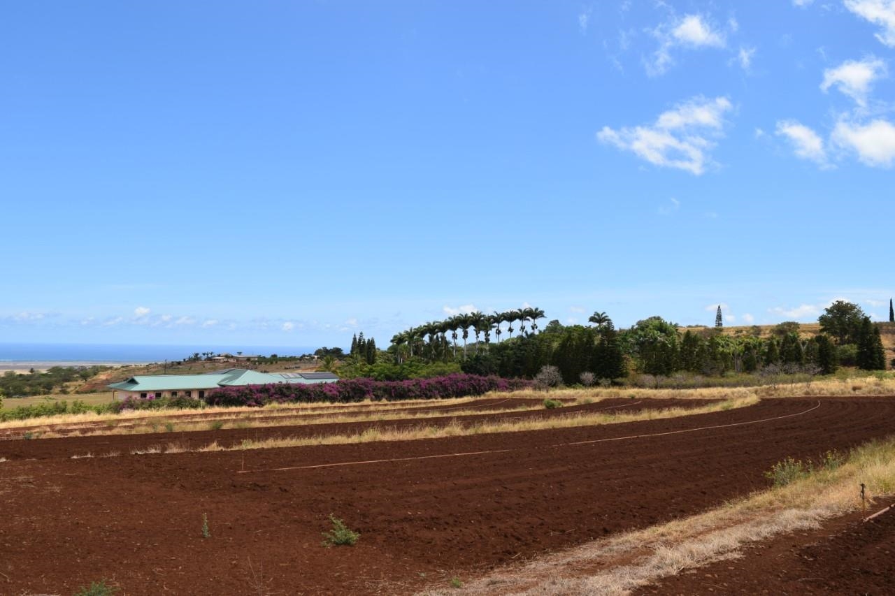 0 Omaopio Rd  Kula, Hi vacant land for sale - photo 14 of 19