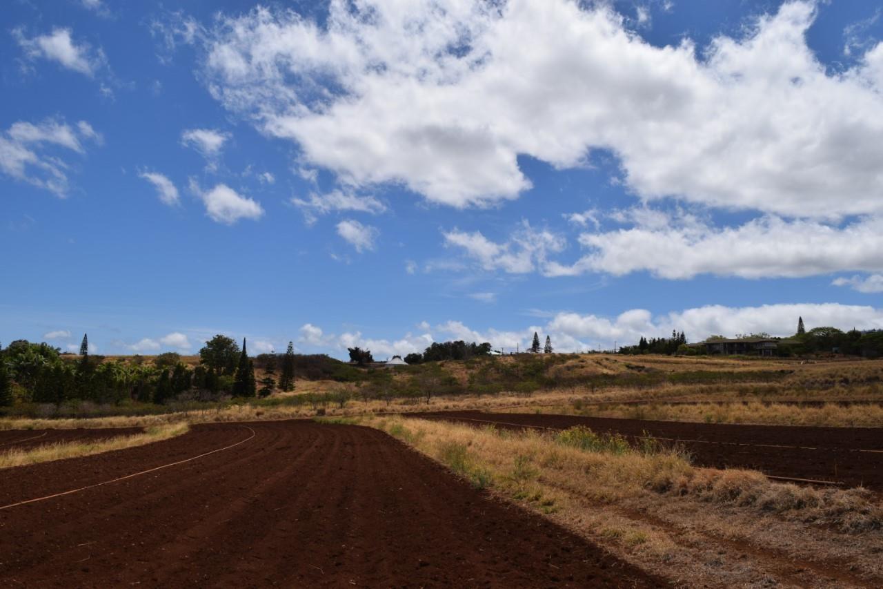 0 Omaopio Rd  Kula, Hi vacant land for sale - photo 15 of 19