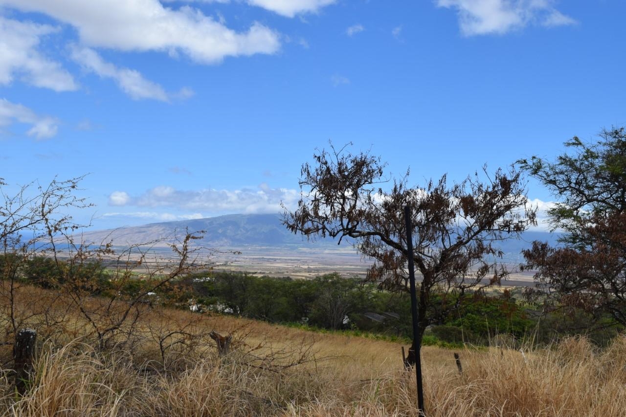 0 Omaopio Rd  Kula, Hi vacant land for sale - photo 16 of 19