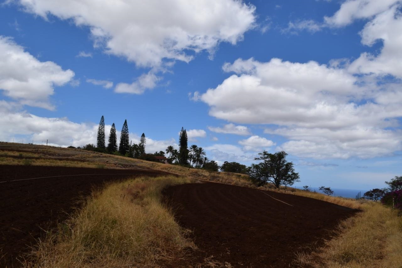 0 Omaopio Rd  Kula, Hi vacant land for sale - photo 18 of 19