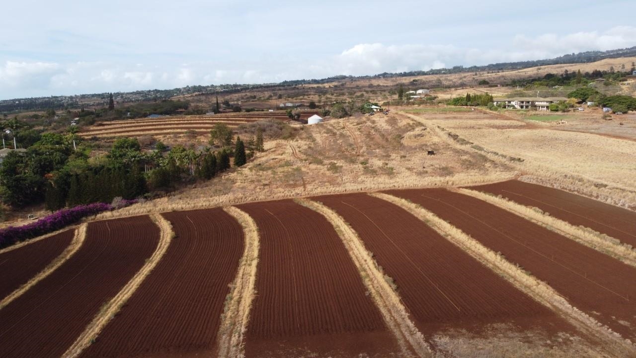 0 Omaopio Rd  Kula, Hi vacant land for sale - photo 3 of 19