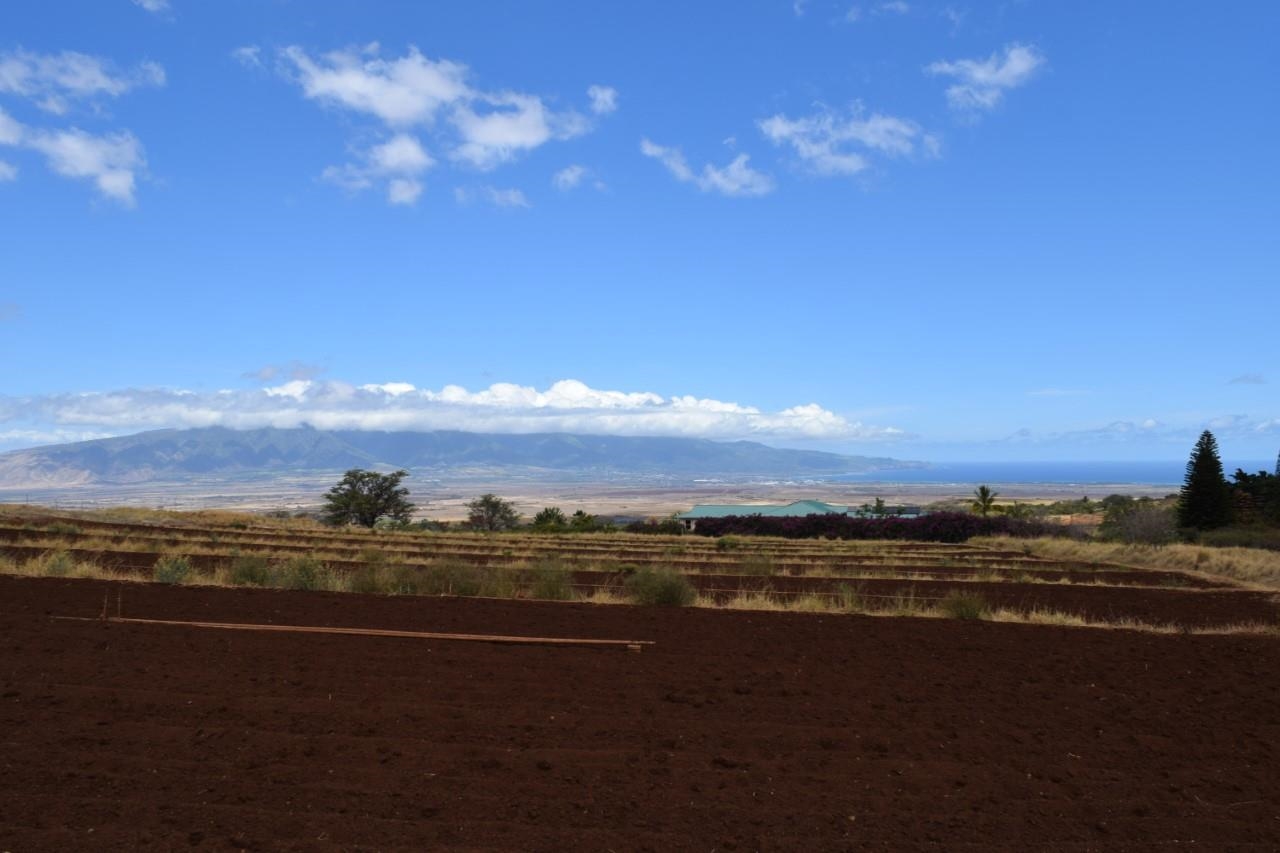 0 Omaopio Rd  Kula, Hi vacant land for sale - photo 5 of 19