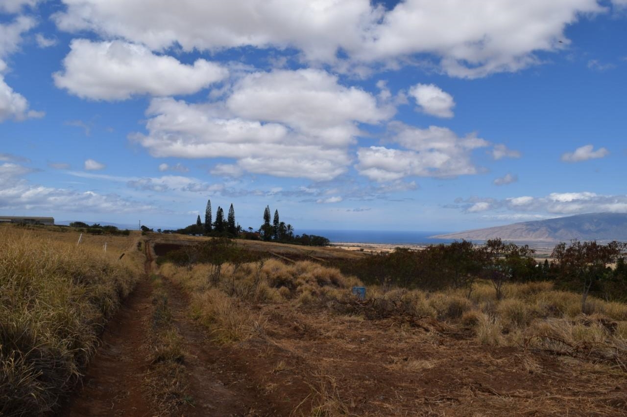 0 Omaopio Rd  Kula, Hi vacant land for sale - photo 6 of 19