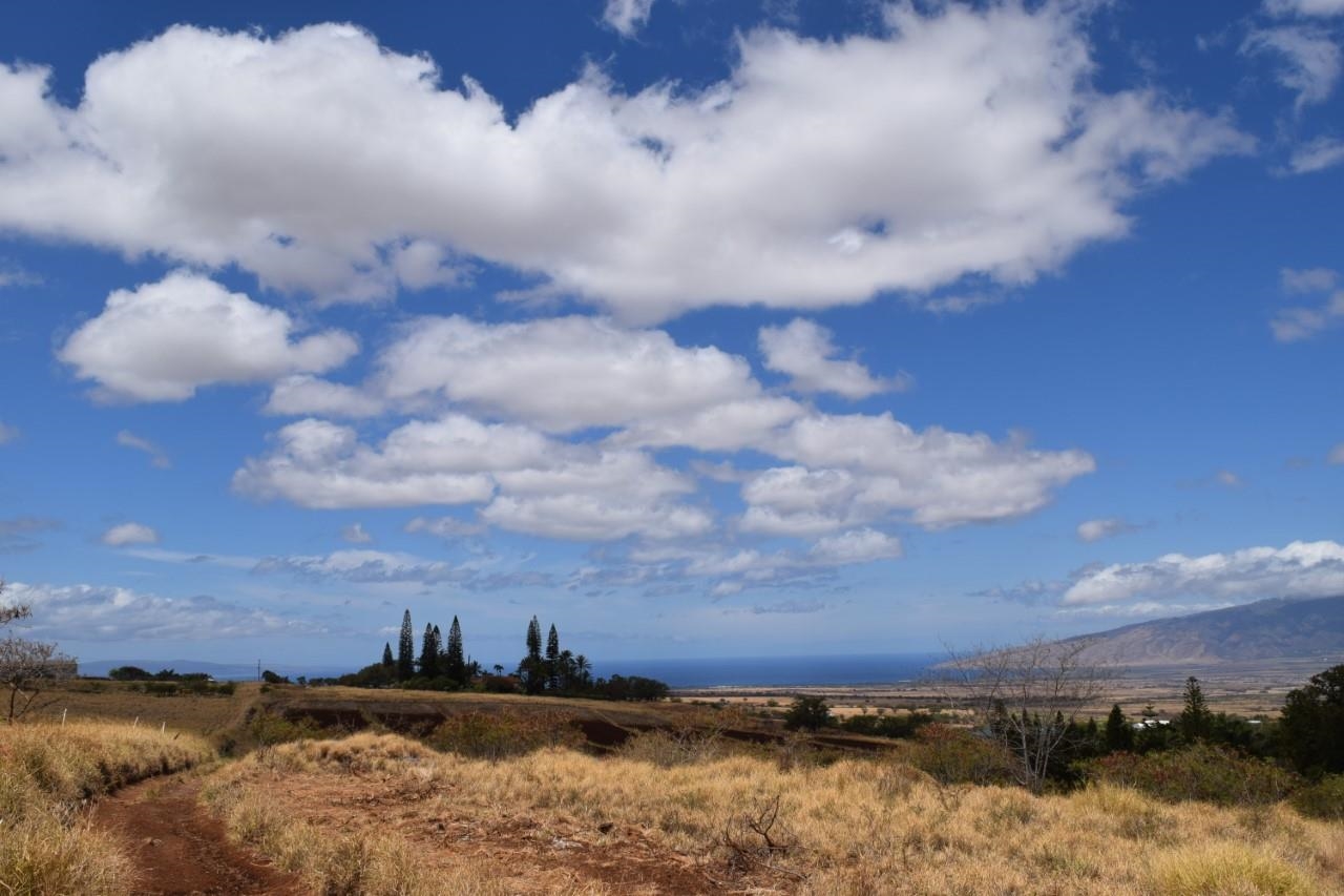 0 Omaopio Rd  Kula, Hi vacant land for sale - photo 7 of 19