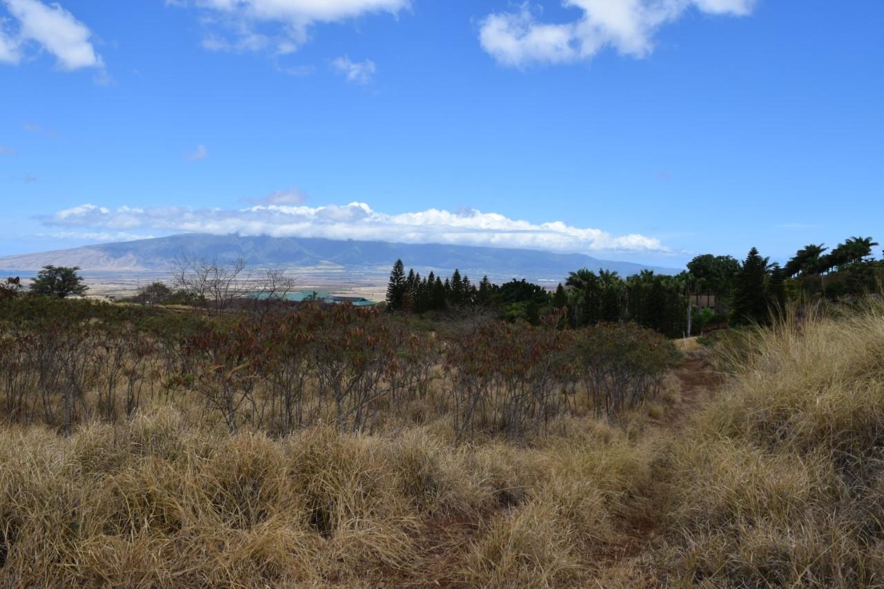 0 Omaopio Rd  Kula, Hi vacant land for sale - photo 8 of 19