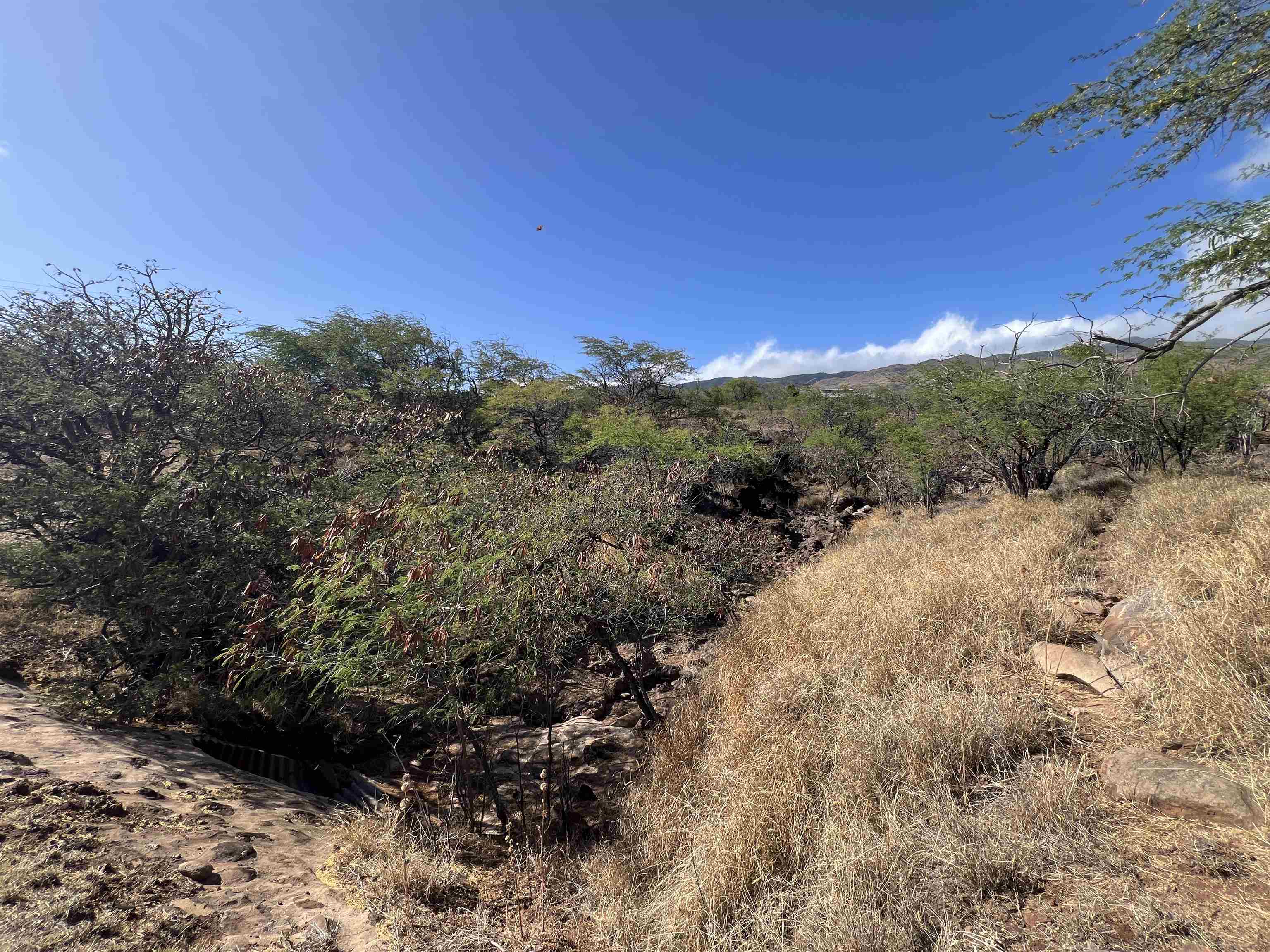 Onioni Dr  Kaunakakai, Hi vacant land for sale - photo 25 of 34