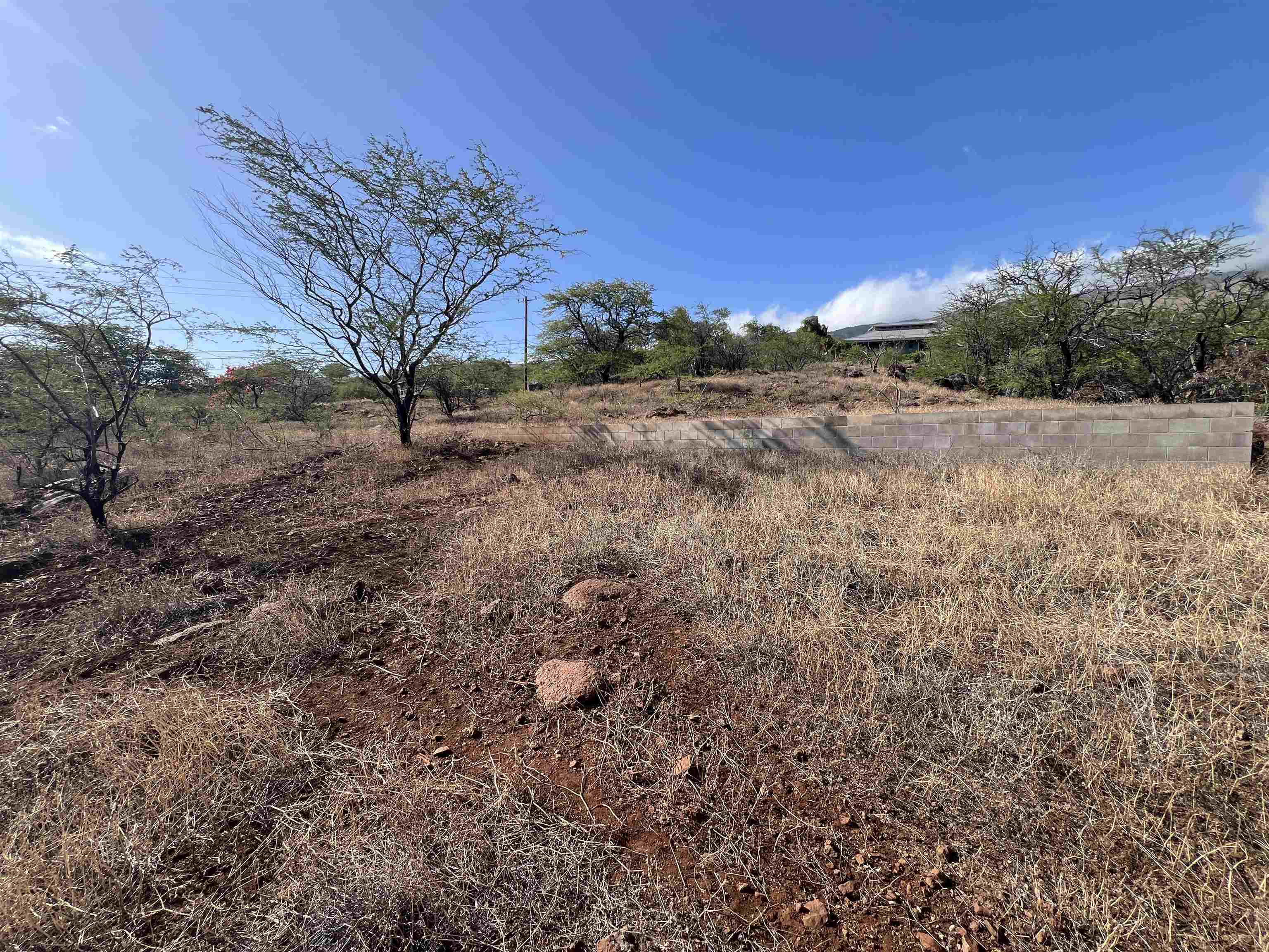 Onioni Dr  Kaunakakai, Hi vacant land for sale - photo 28 of 34