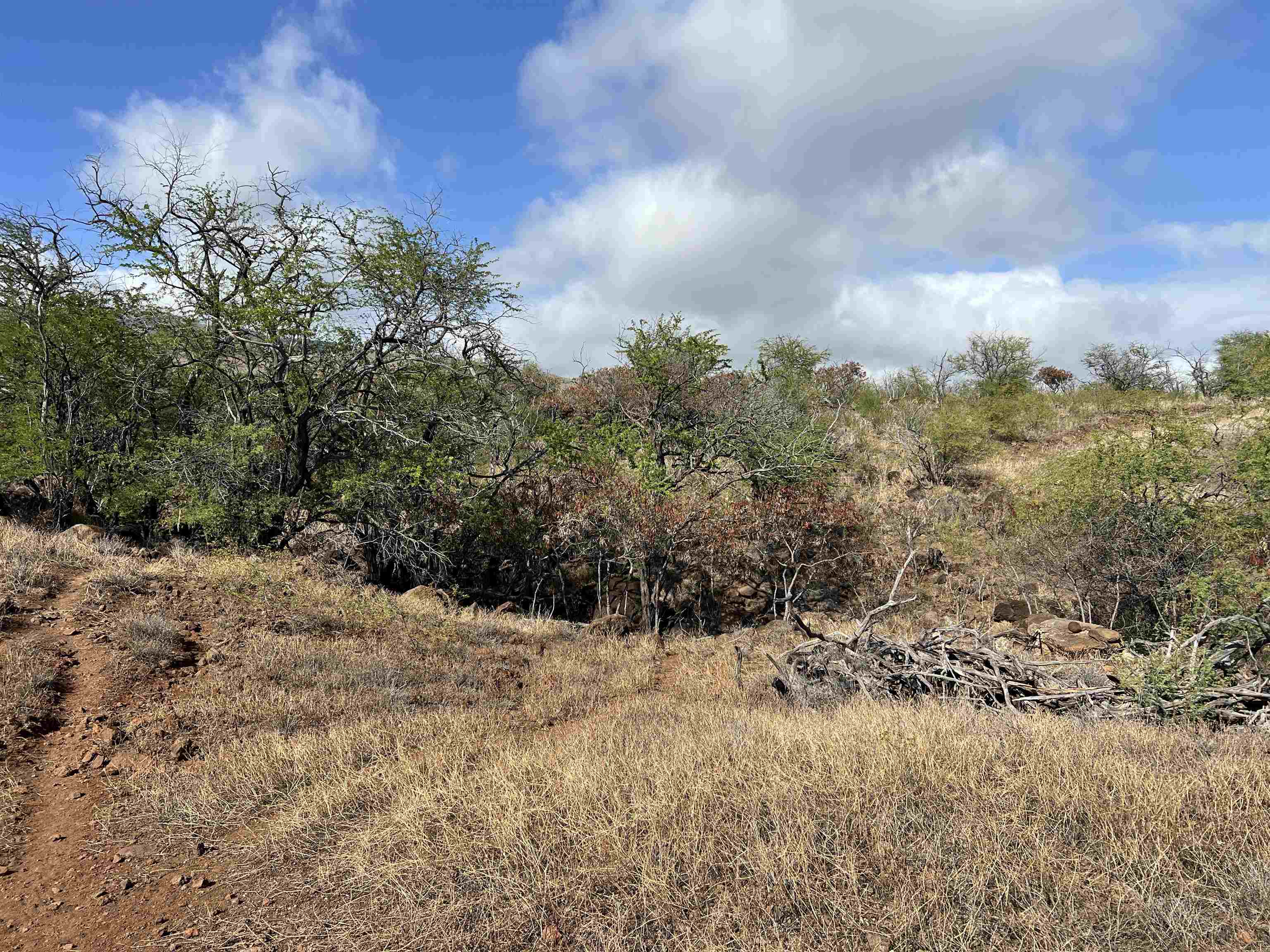 Onioni Dr  Kaunakakai, Hi vacant land for sale - photo 29 of 34