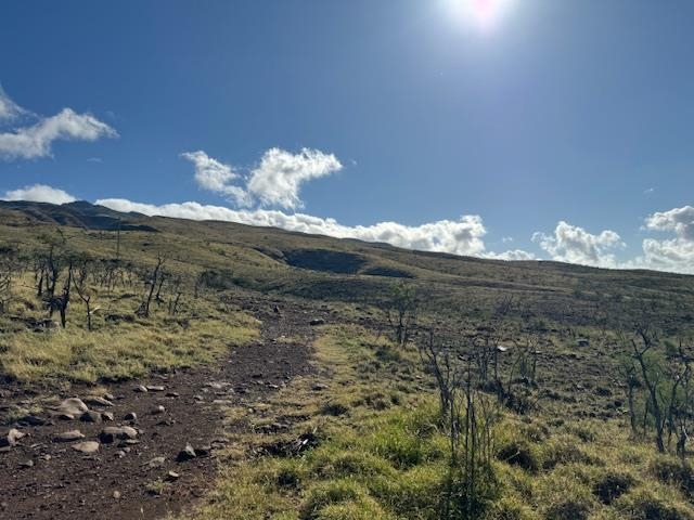 Onioni Dr Lot 82 Kaunakakai, Hi vacant land for sale - photo 10 of 11