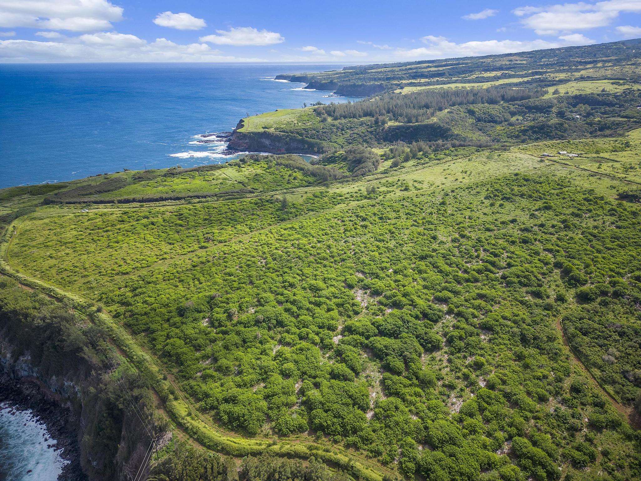 0 Pauwela Lighthouse Rd 50 Haiku, Hi vacant land for sale - photo 15 of 21