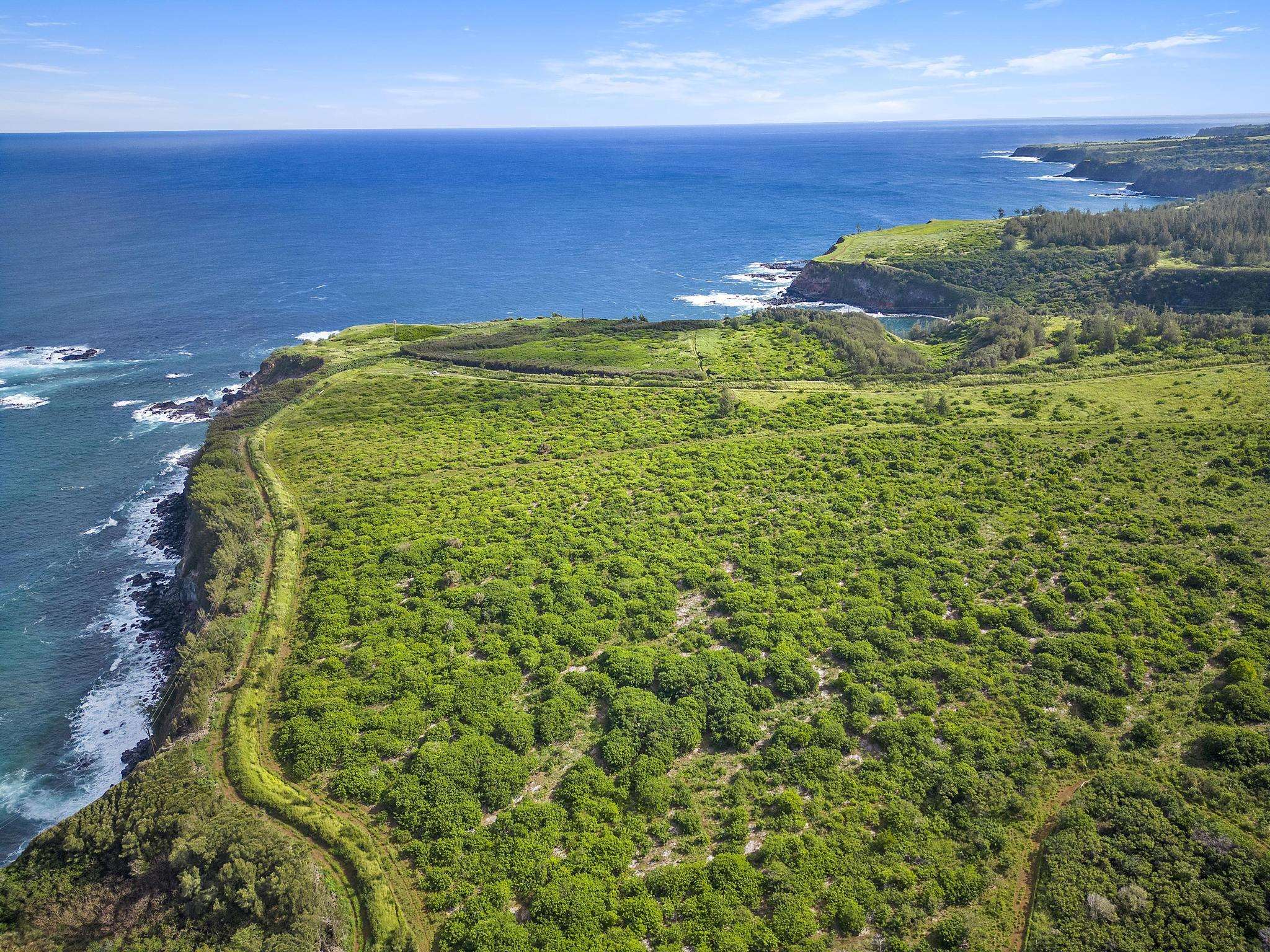 0 Pauwela Lighthouse Rd 50 Haiku, Hi vacant land for sale - photo 16 of 21