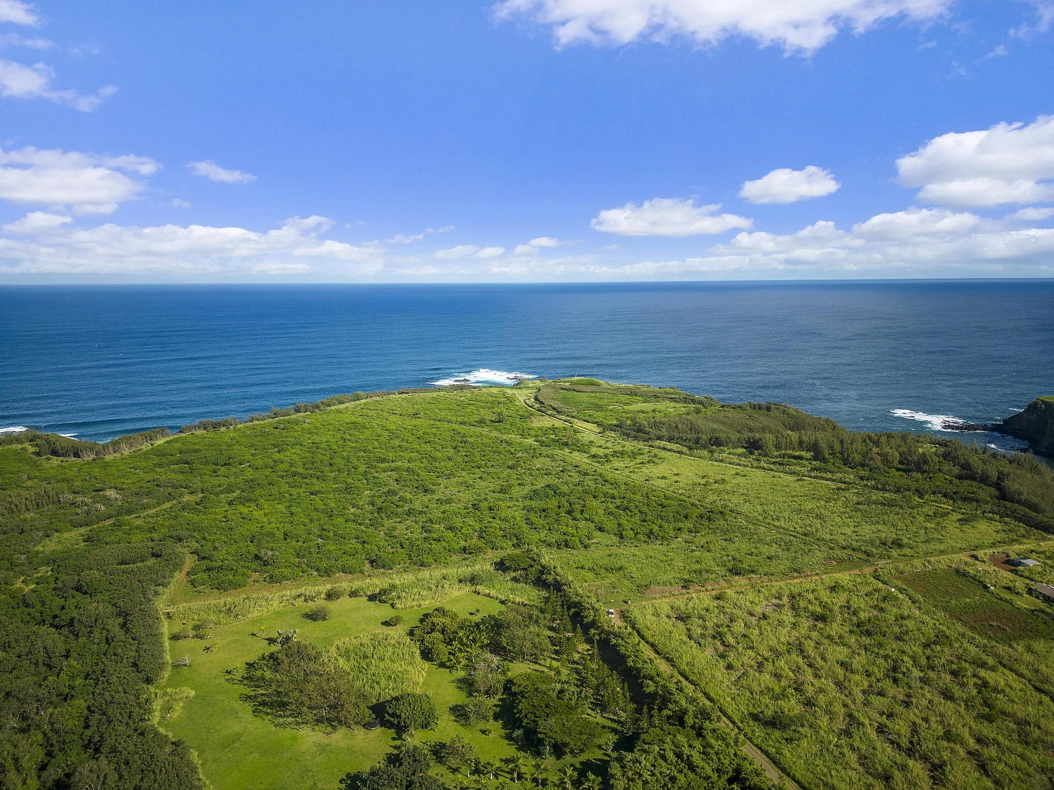 0 Pauwela Lighthouse Rd 50 Haiku, Hi vacant land for sale - photo 8 of 21